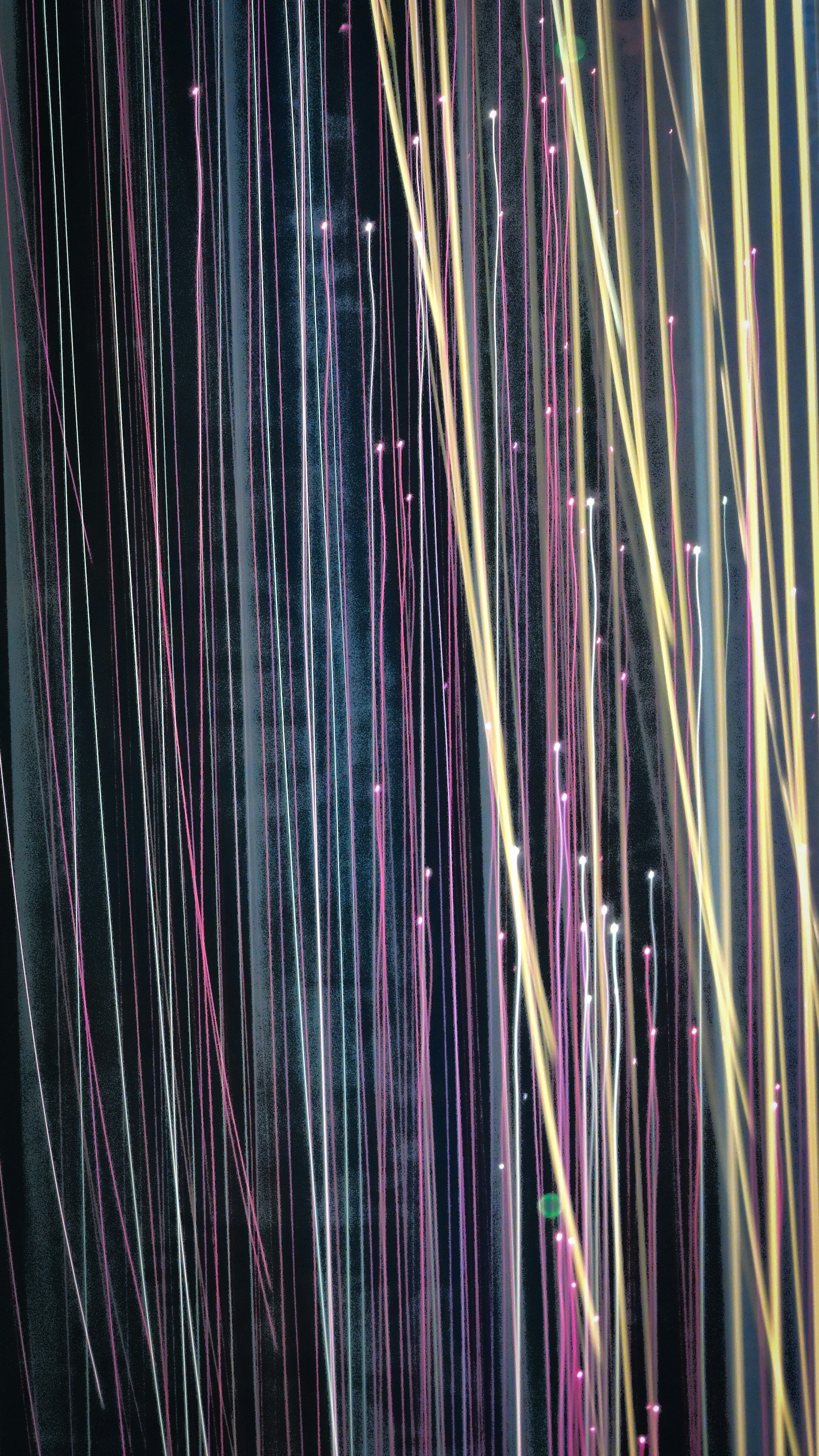 Photo by lucasdalamartaphoto