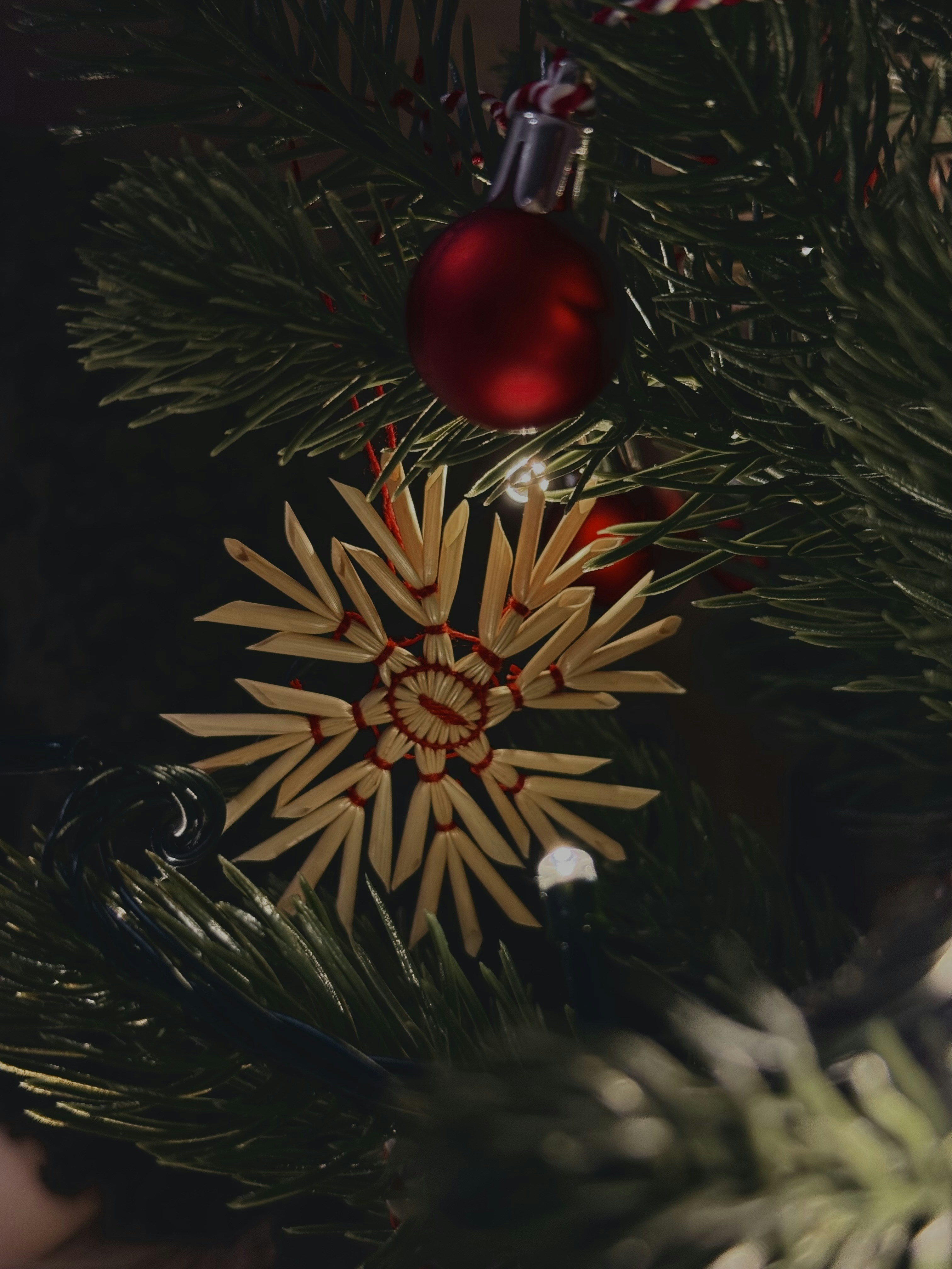 Photo by katekasiutich