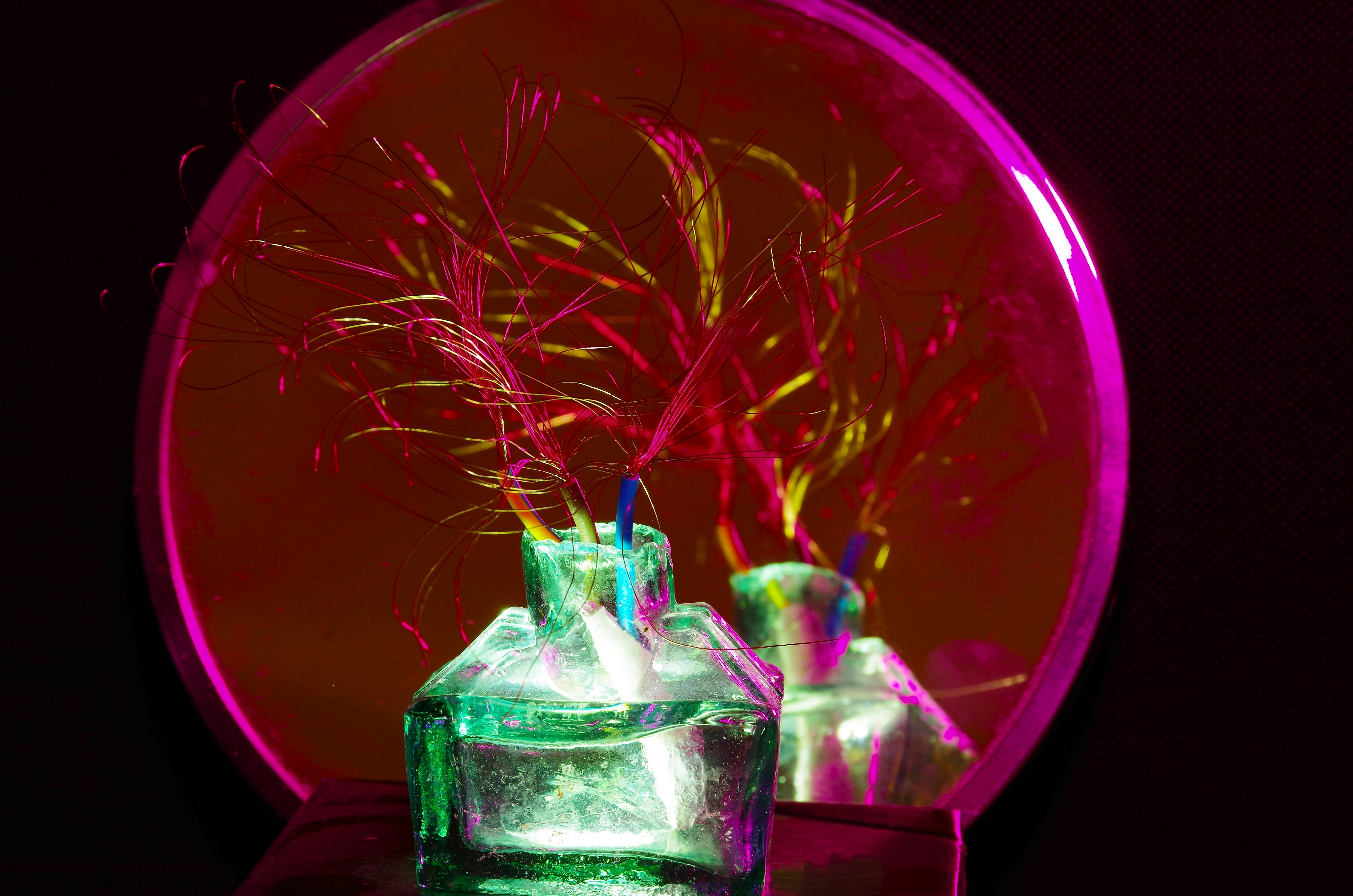 Eine Vase mit einer Pflanze darin auf einem Tisch