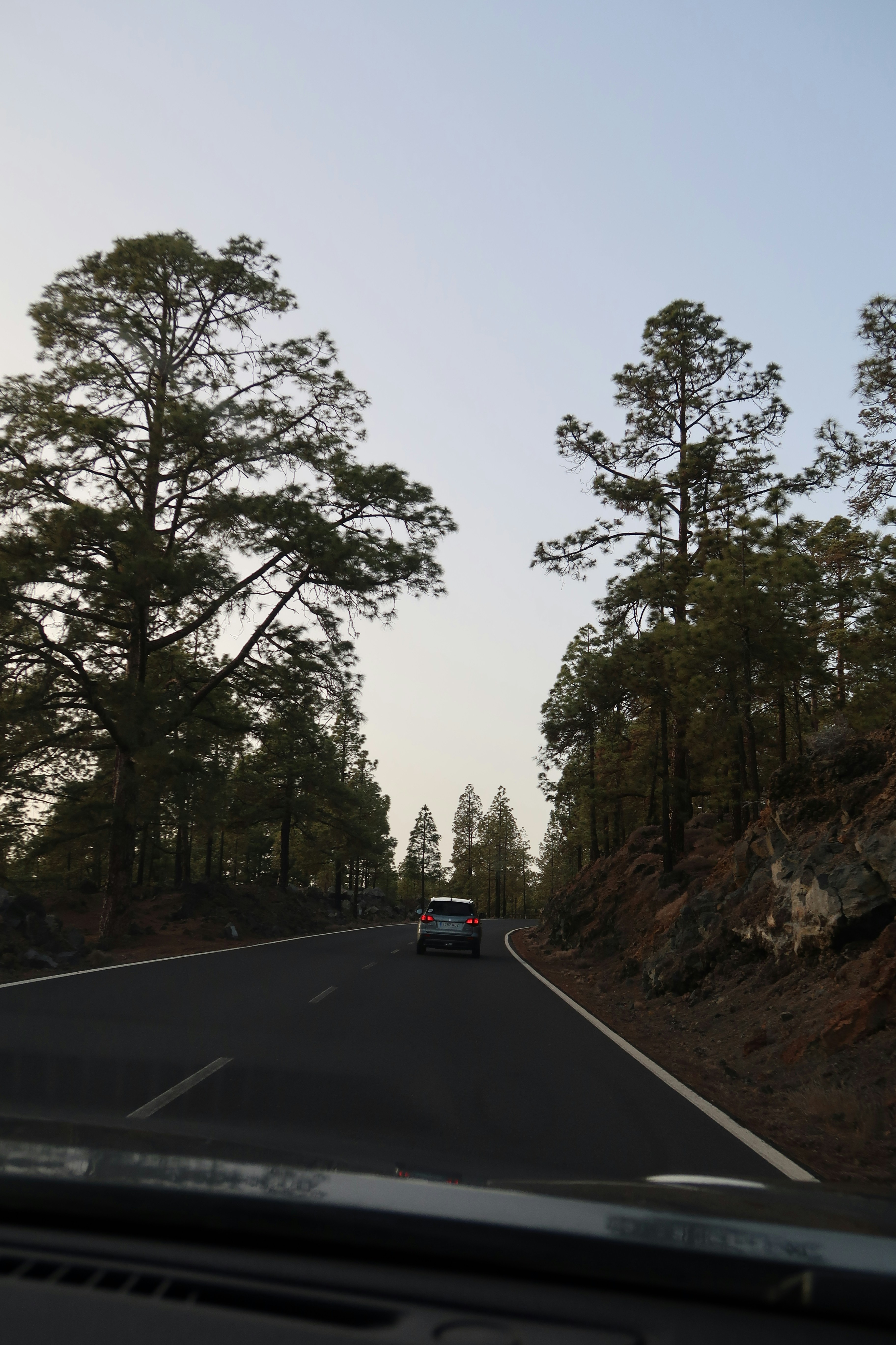 Photo by fauvedereyne