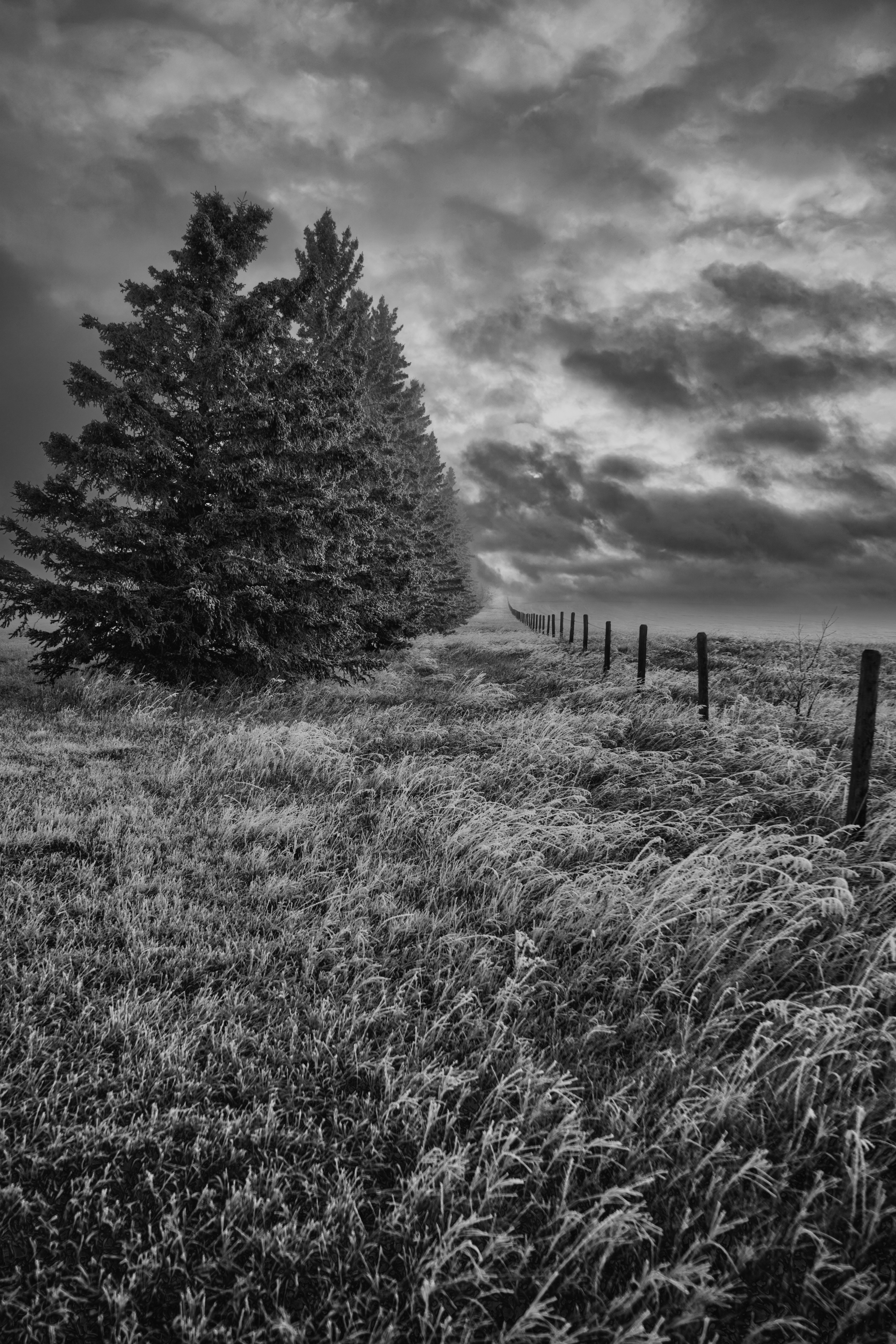 Photo by bigcityfotos