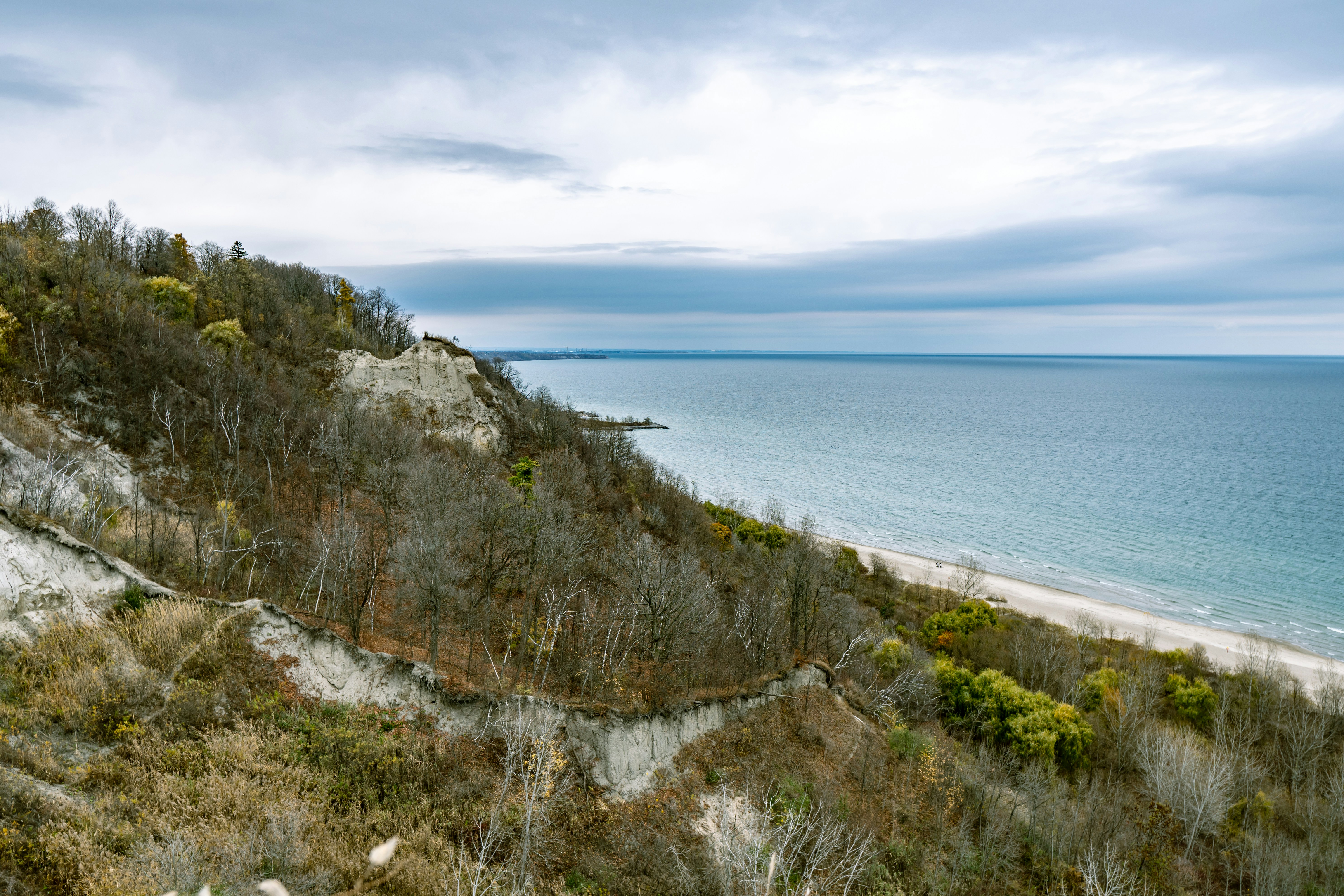 Photo by the_ahnafpiash