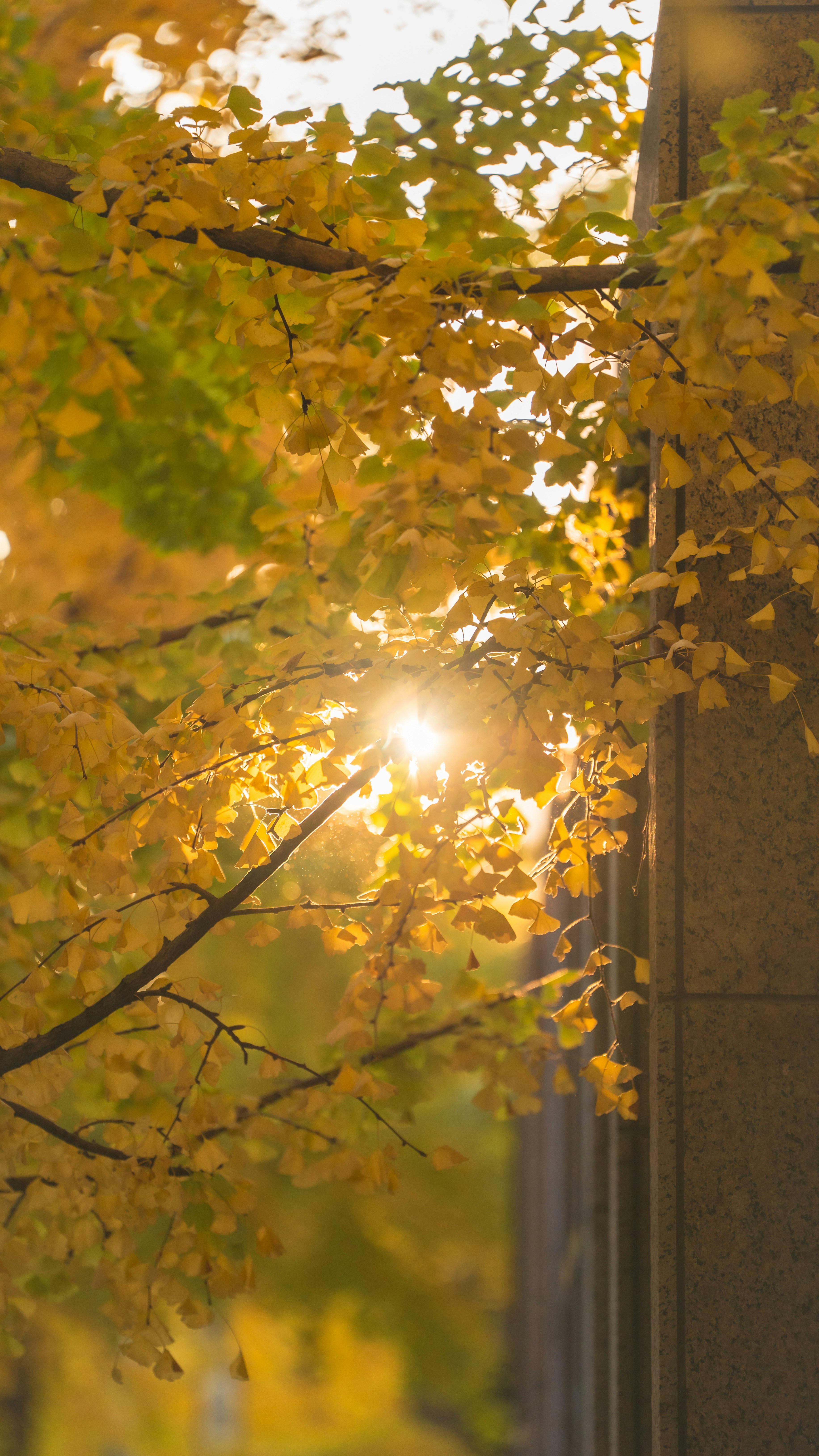 Photo by hyewonphotography