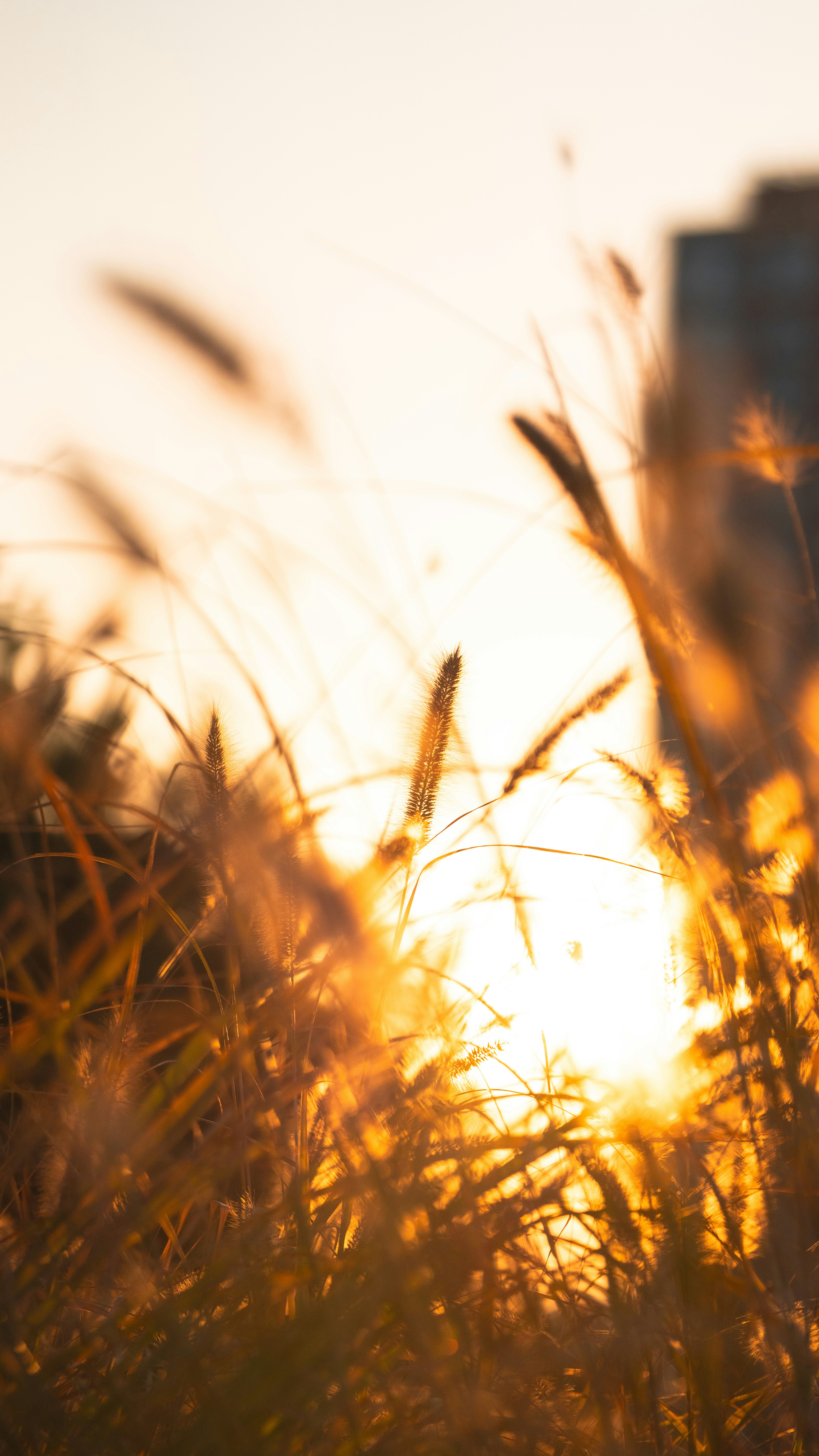 Photo by hyewonphotography