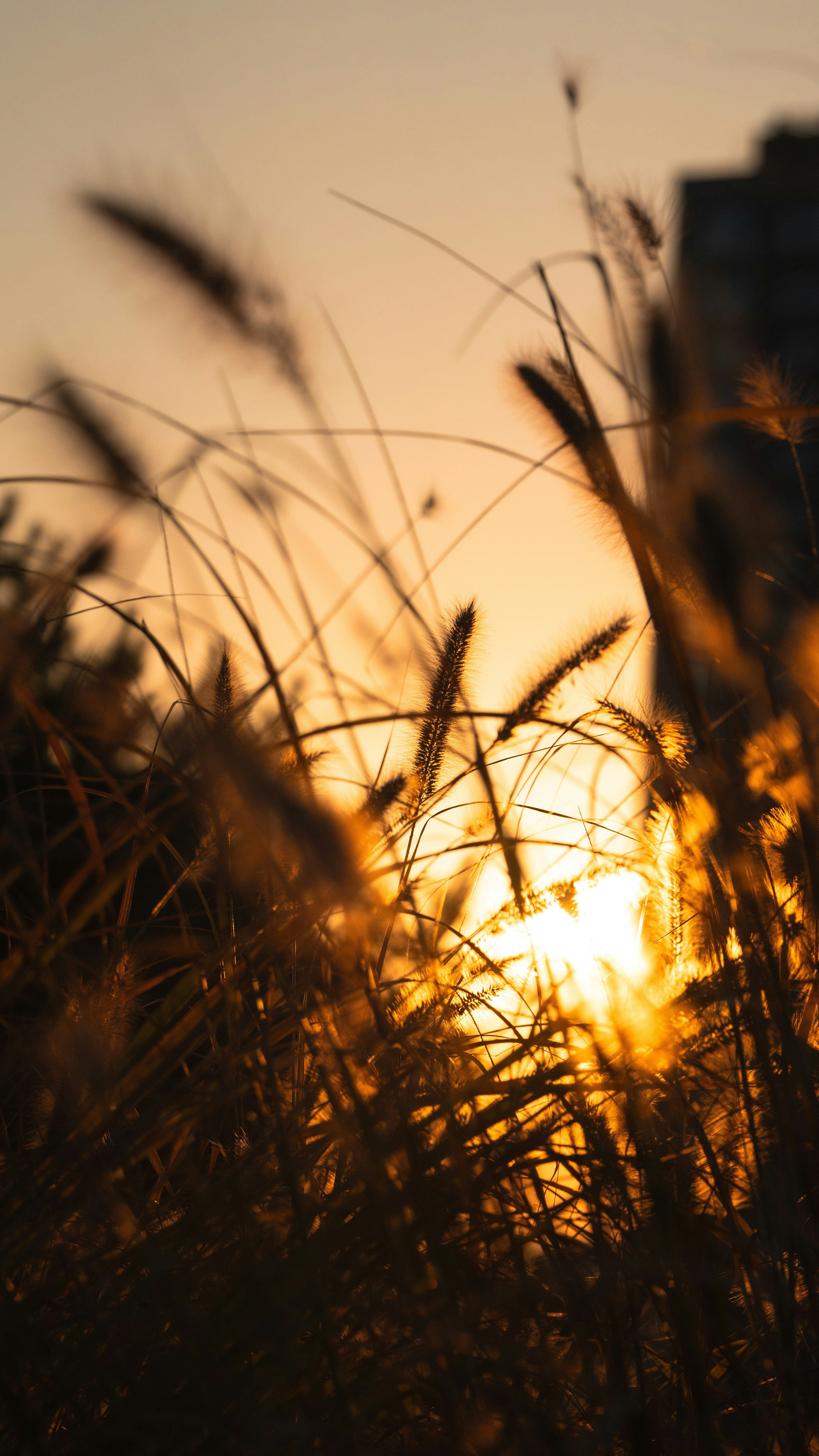 Photo by hyewonphotography