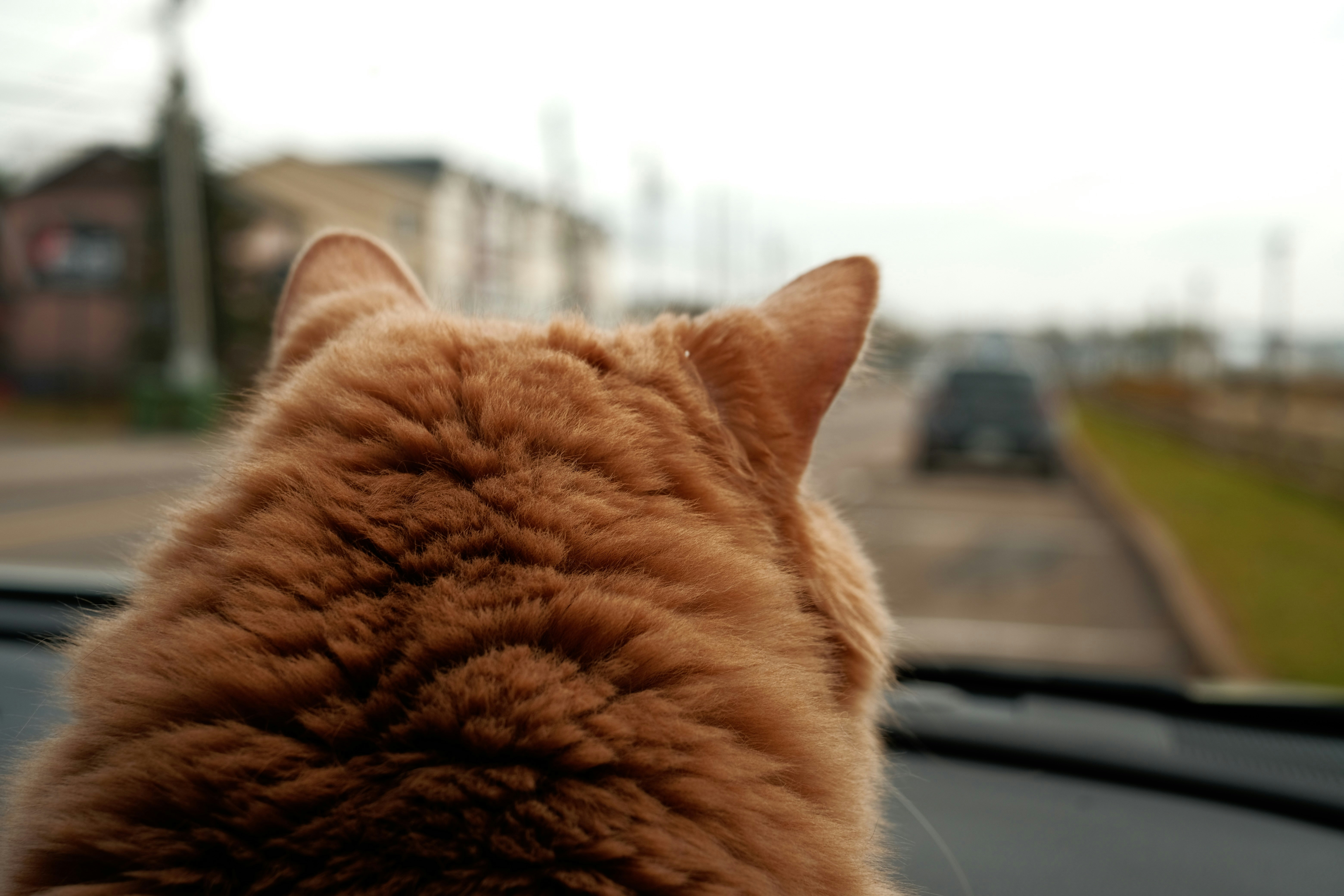 The Butt-in-Face Presentation (image credits: unsplash)