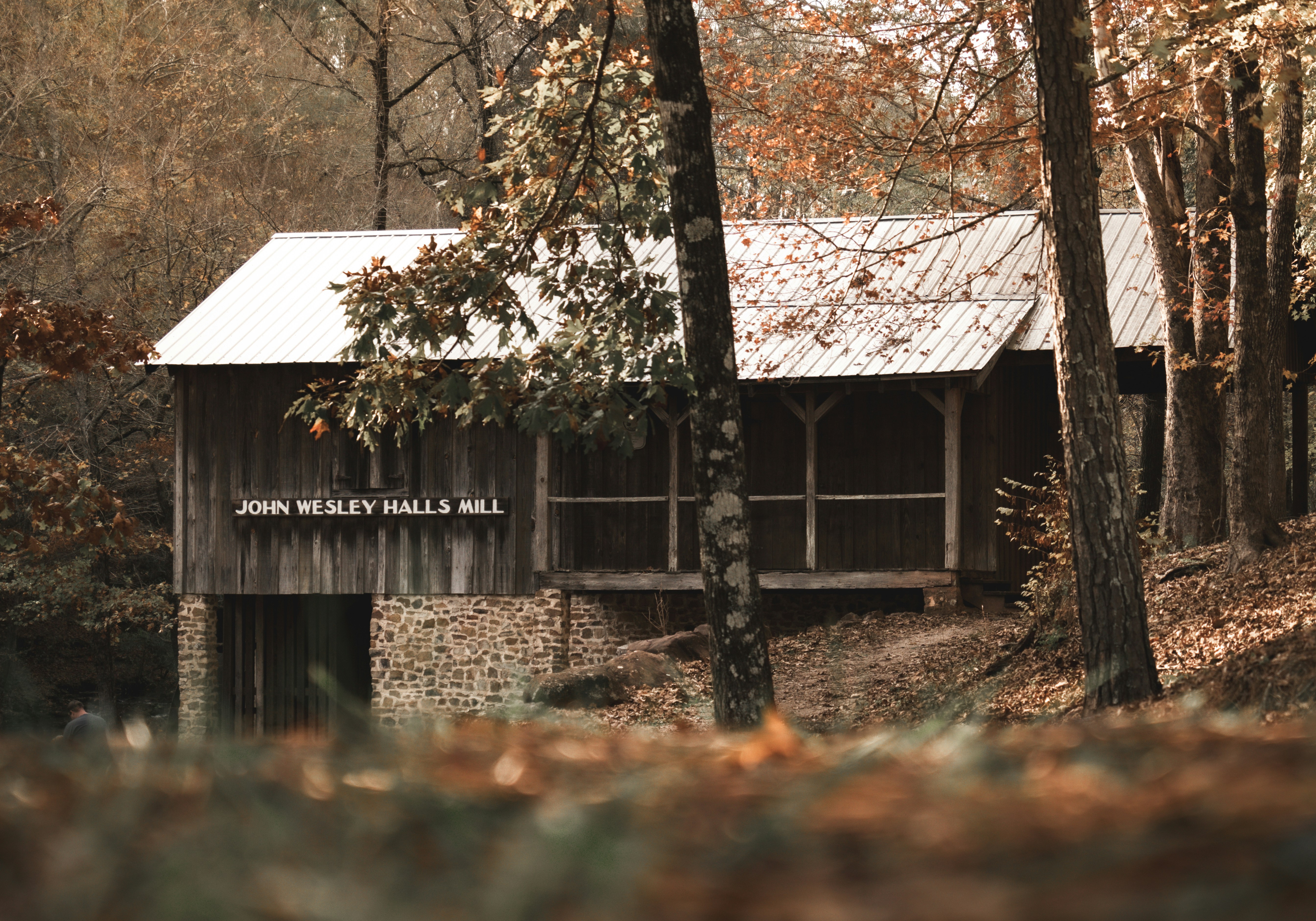 Photo by tomatopictures1