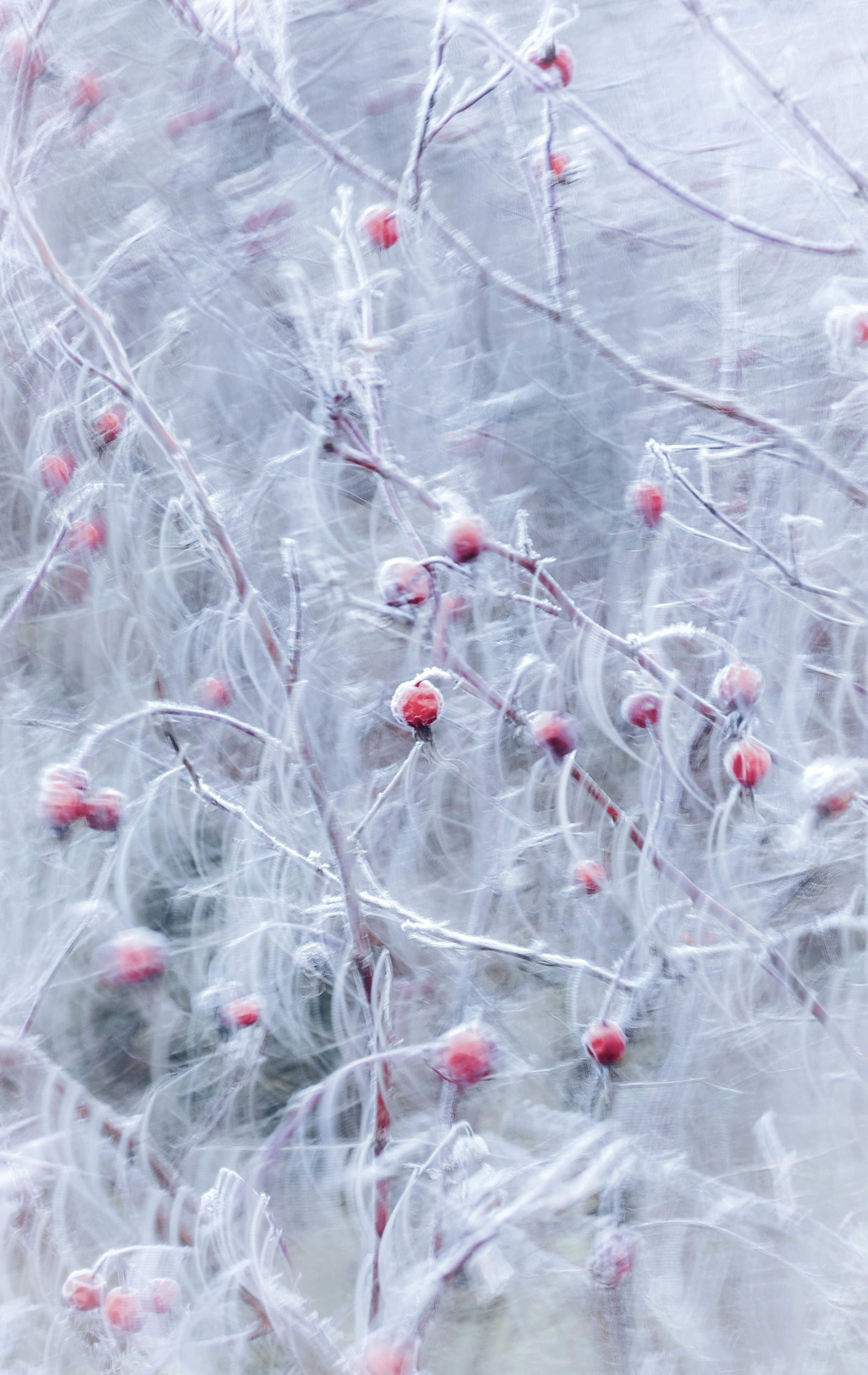 Photo by eugene_golovesov