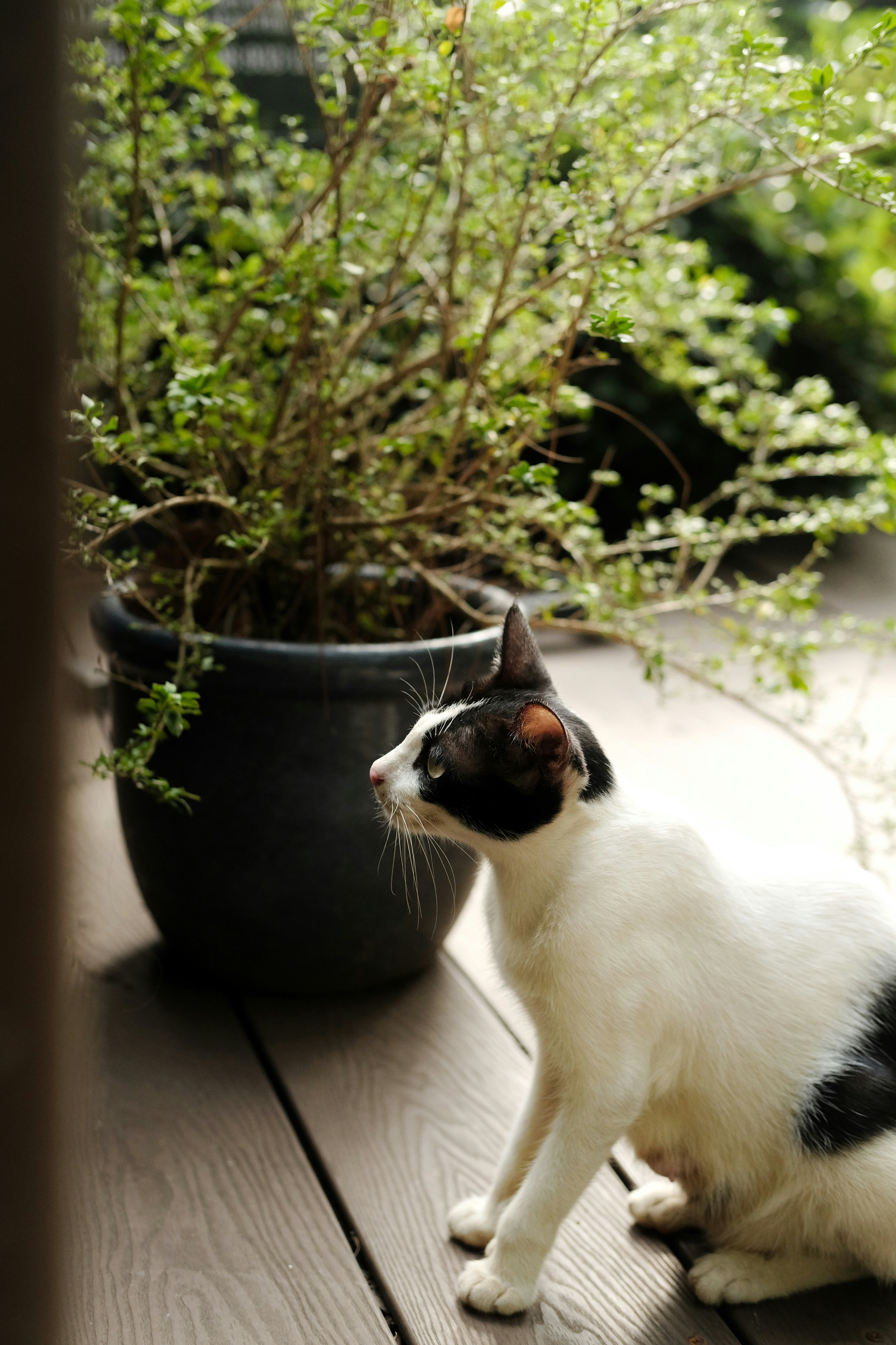 Photo by nganduong93