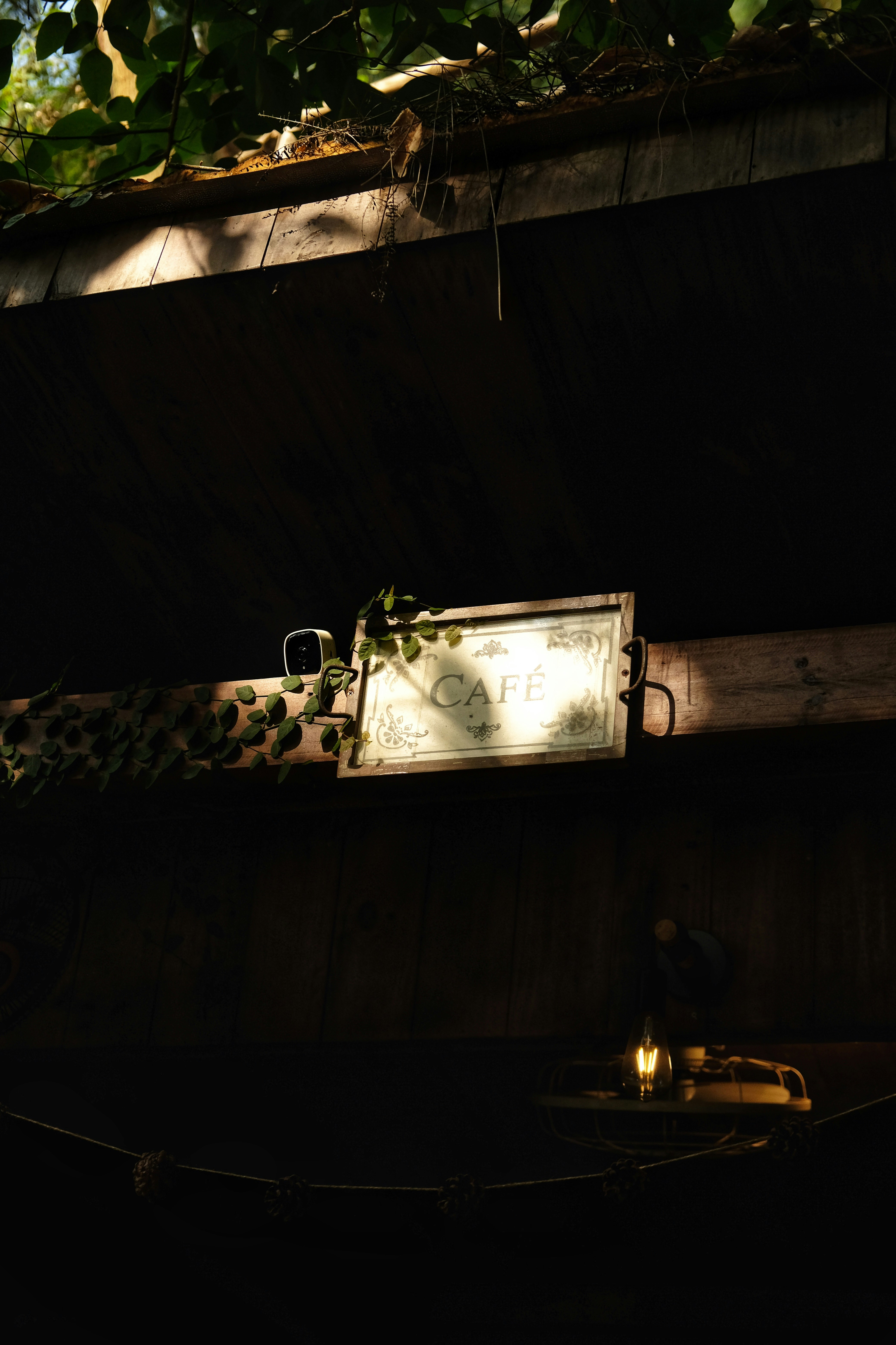 Photo by nganduong93