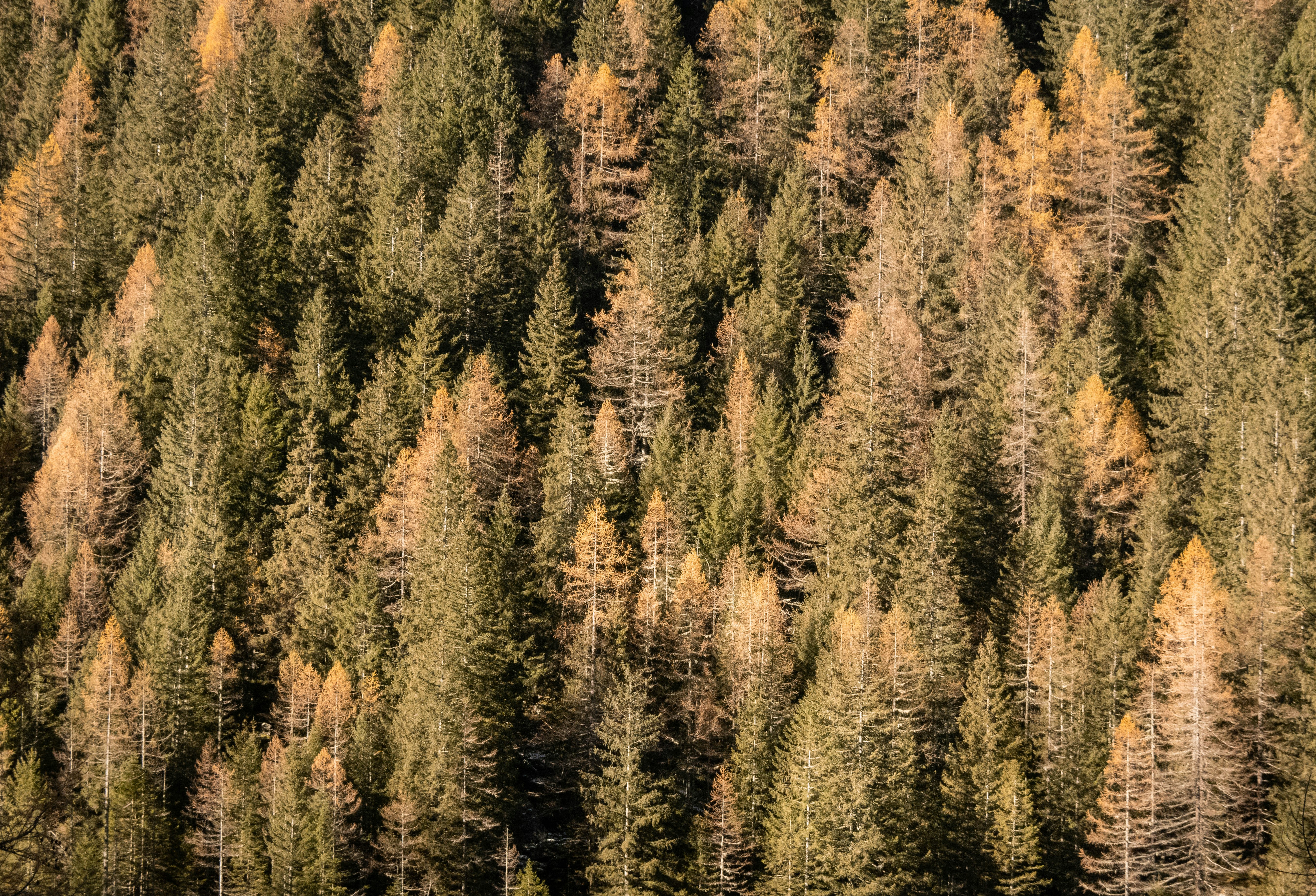 Photo by alessandrarenda