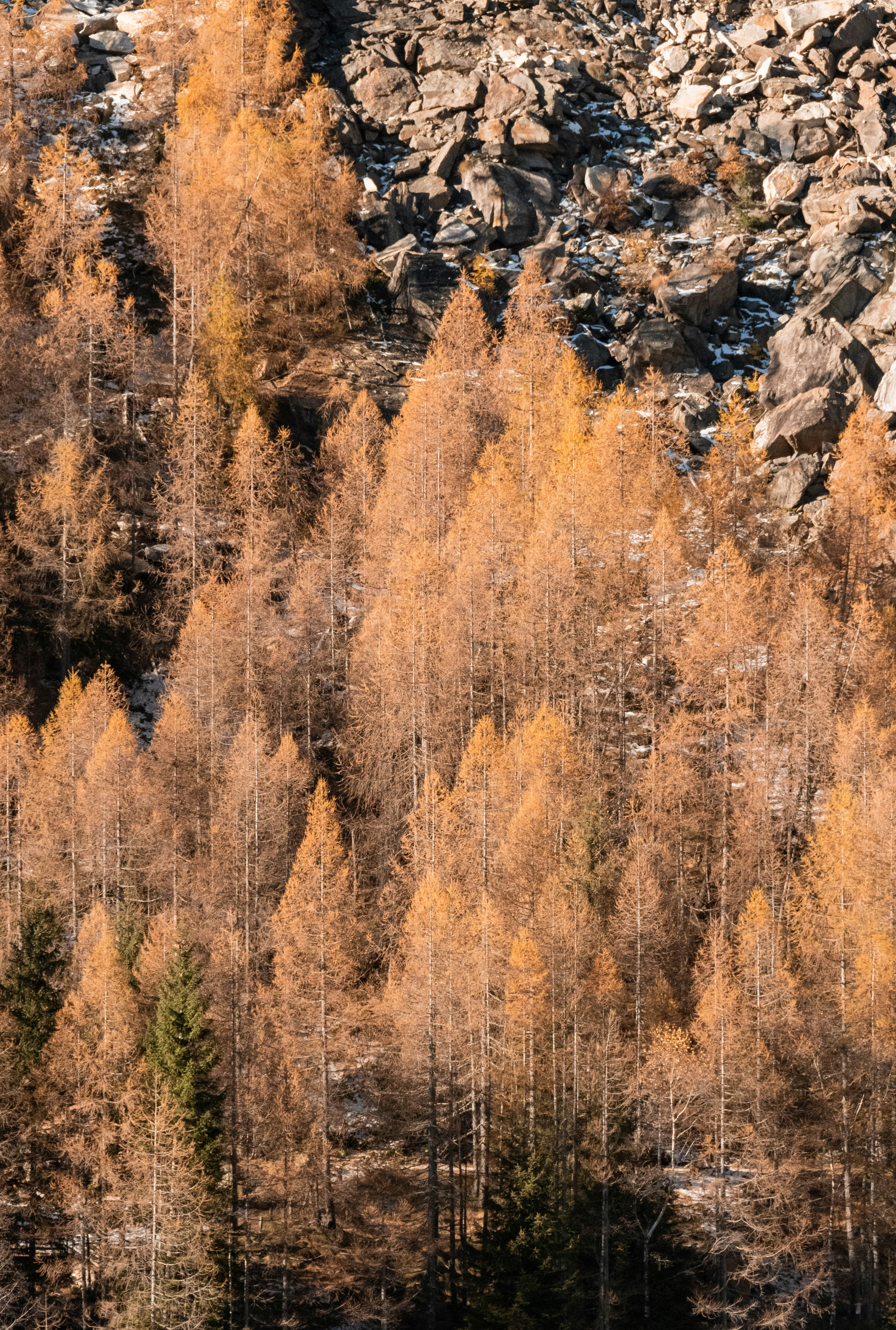 Photo by alessandrarenda