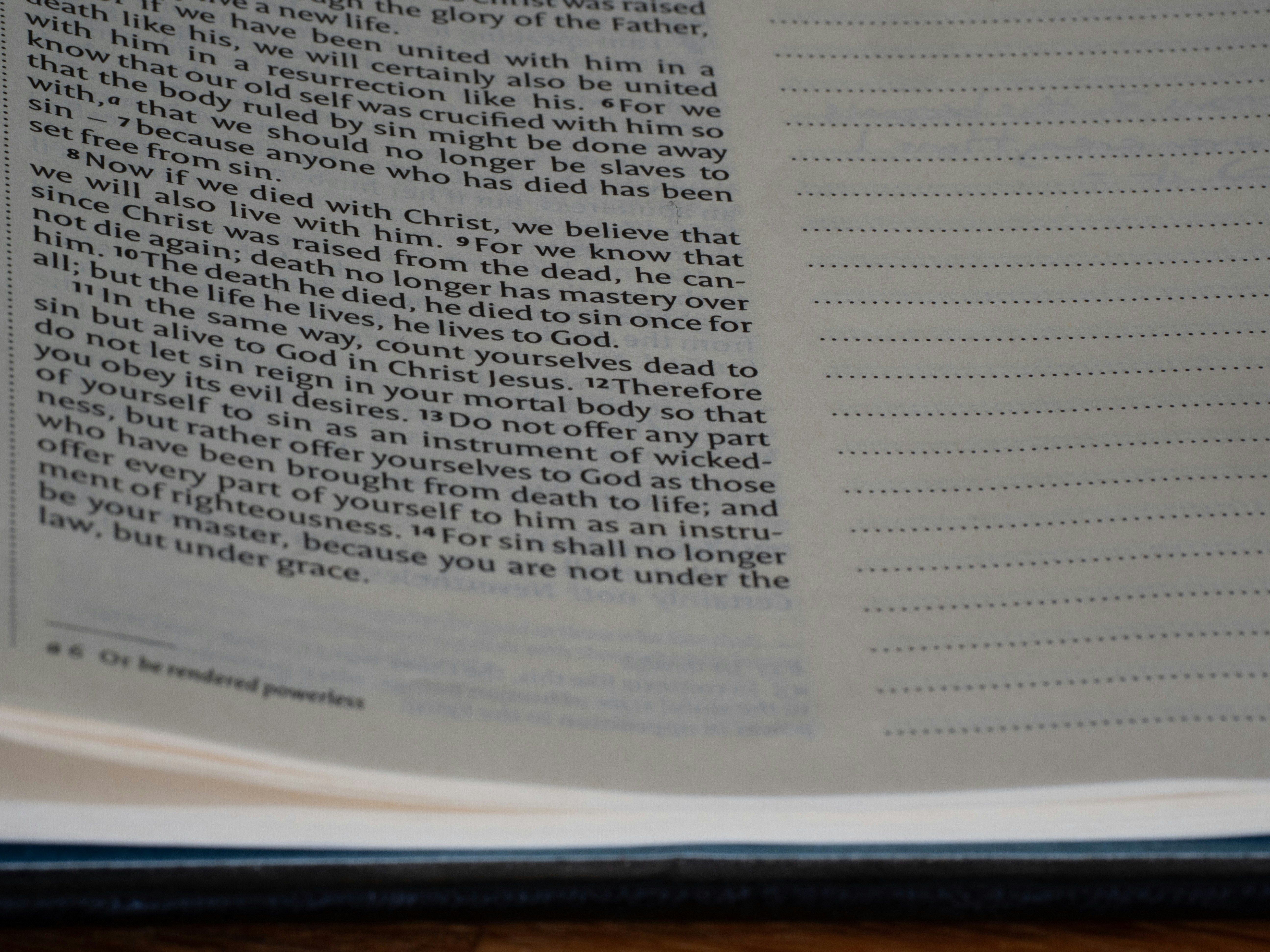 Photo by brett_jordan