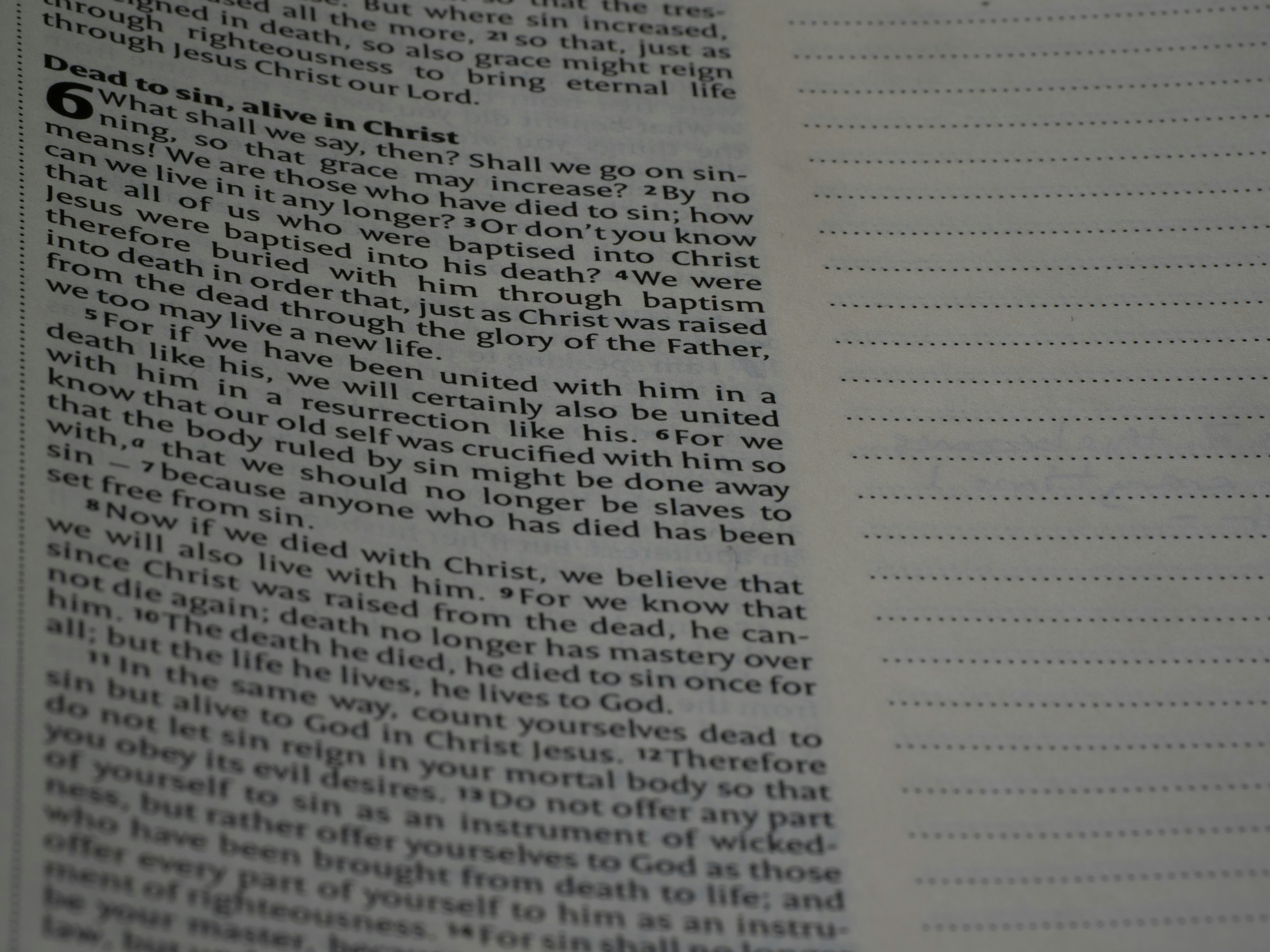 Photo by brett_jordan