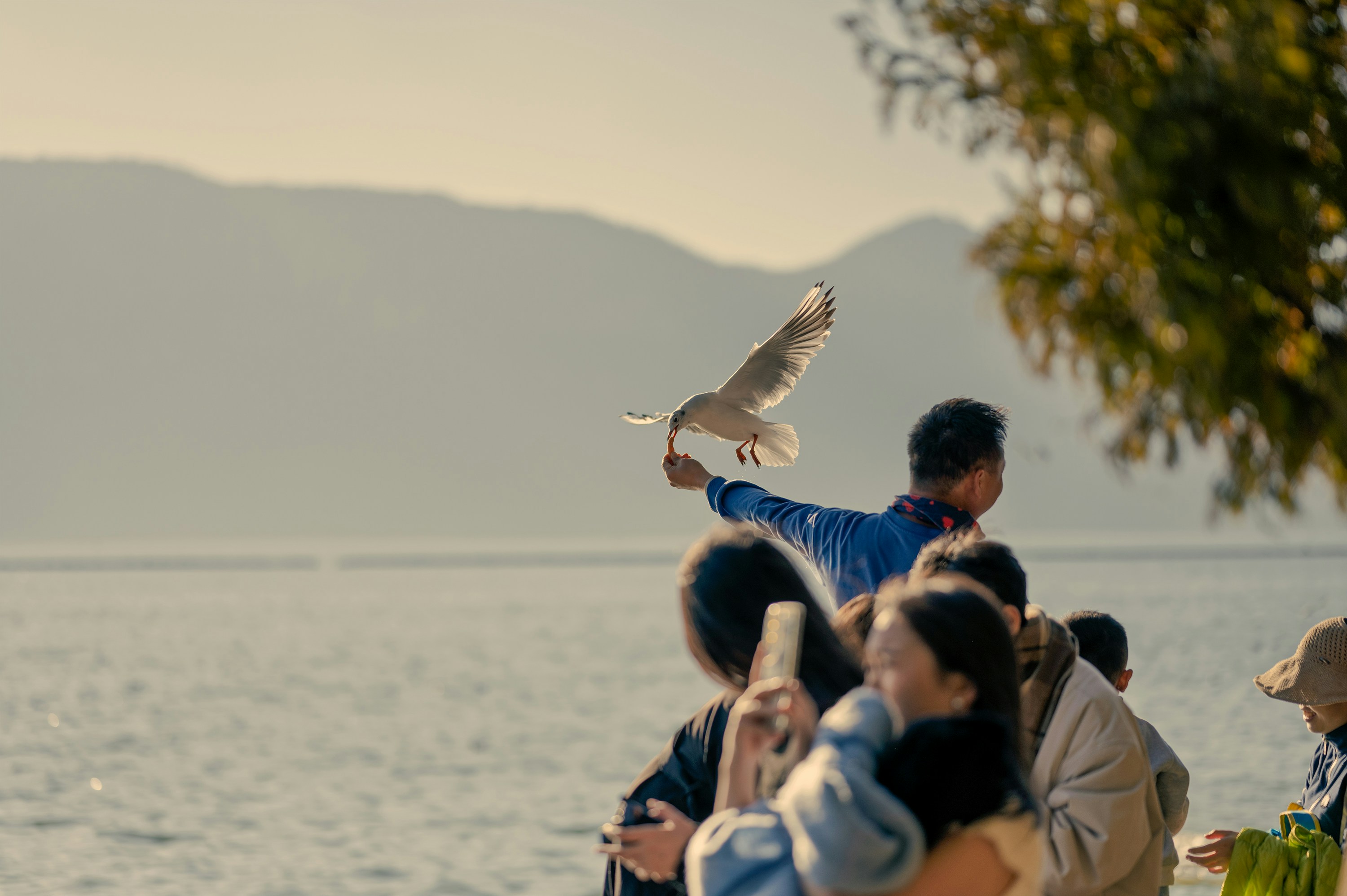 A group of people standing next to a body of water