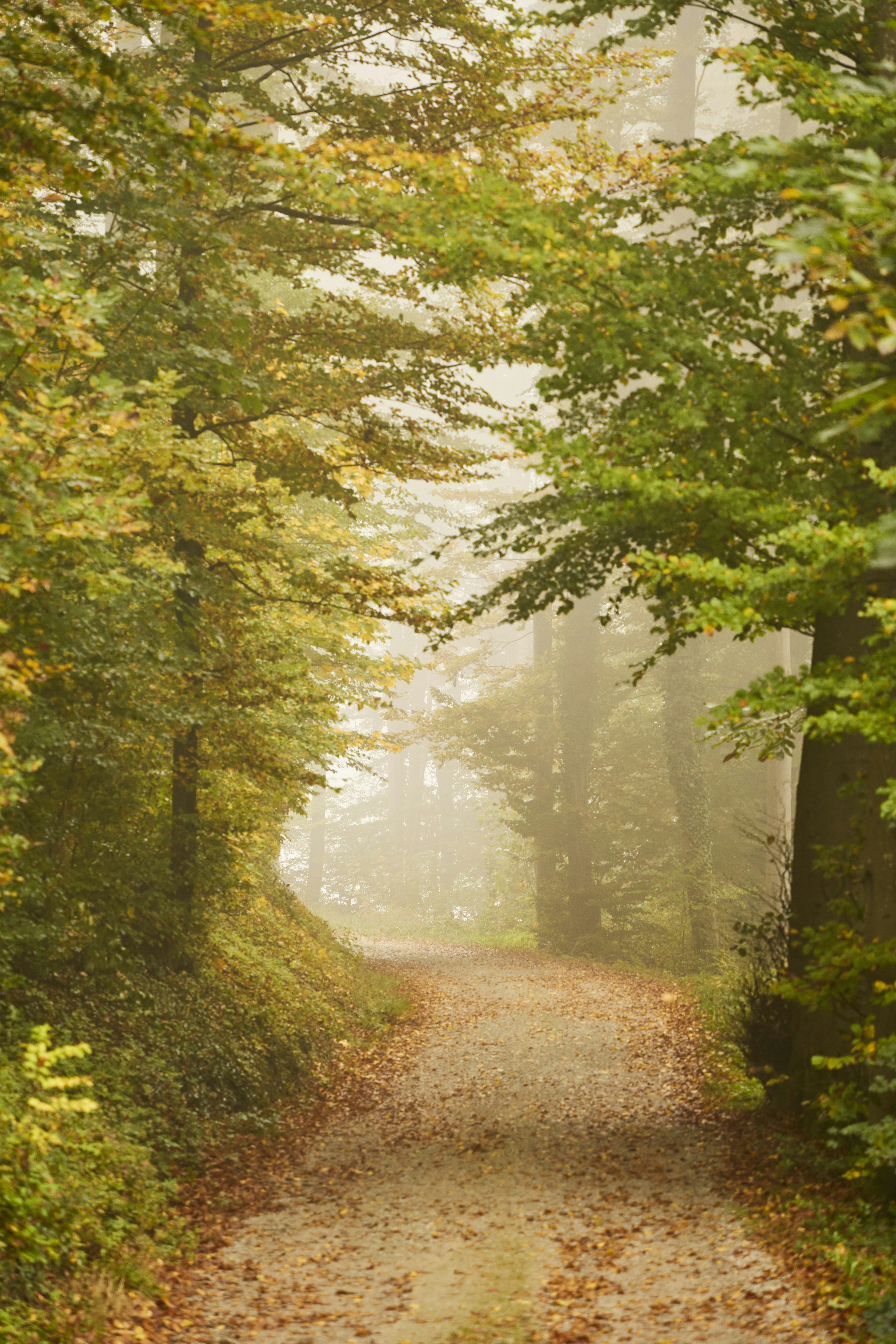 Photo by wolfgang_hasselmann