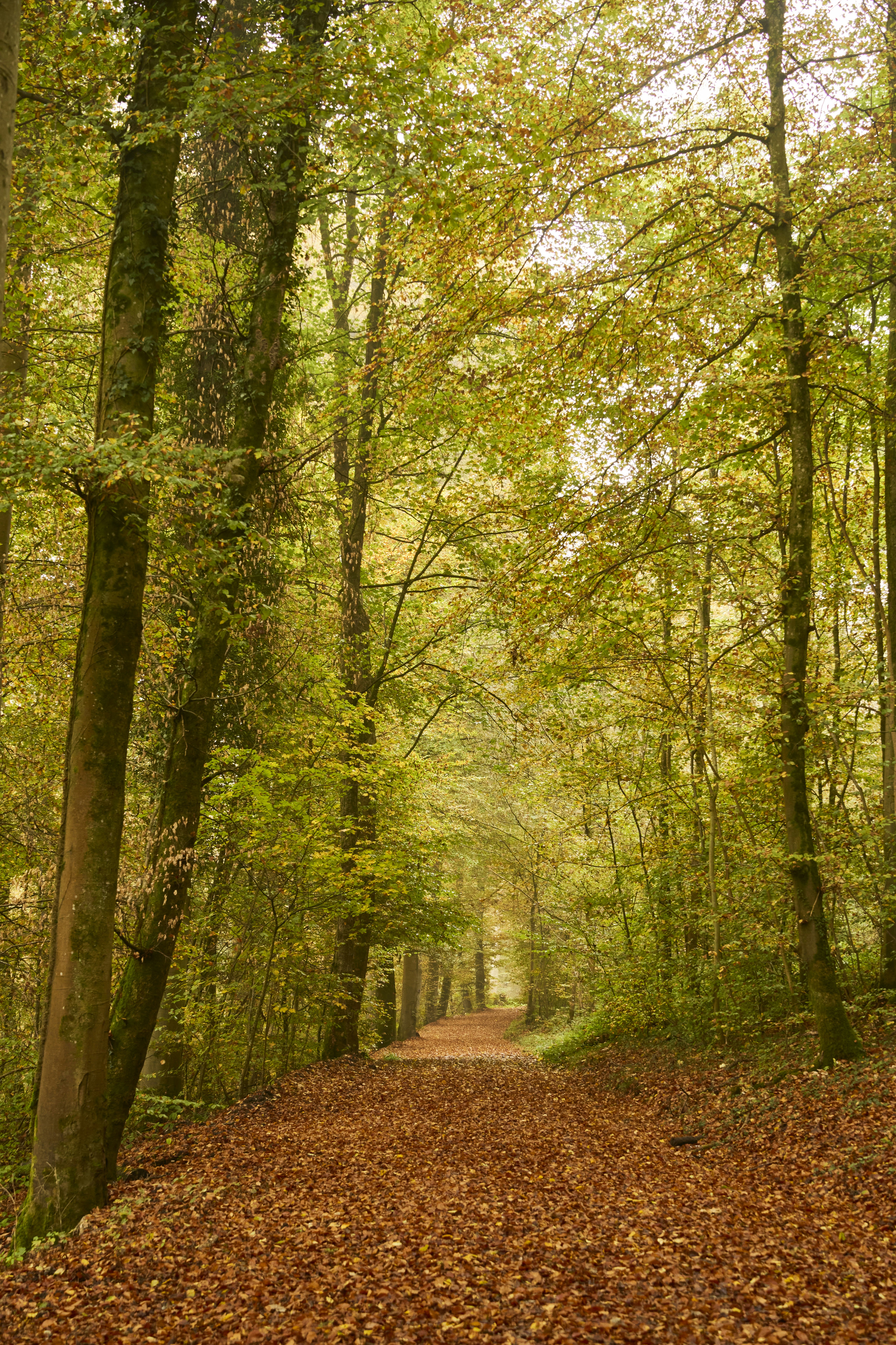 Photo by wolfgang_hasselmann