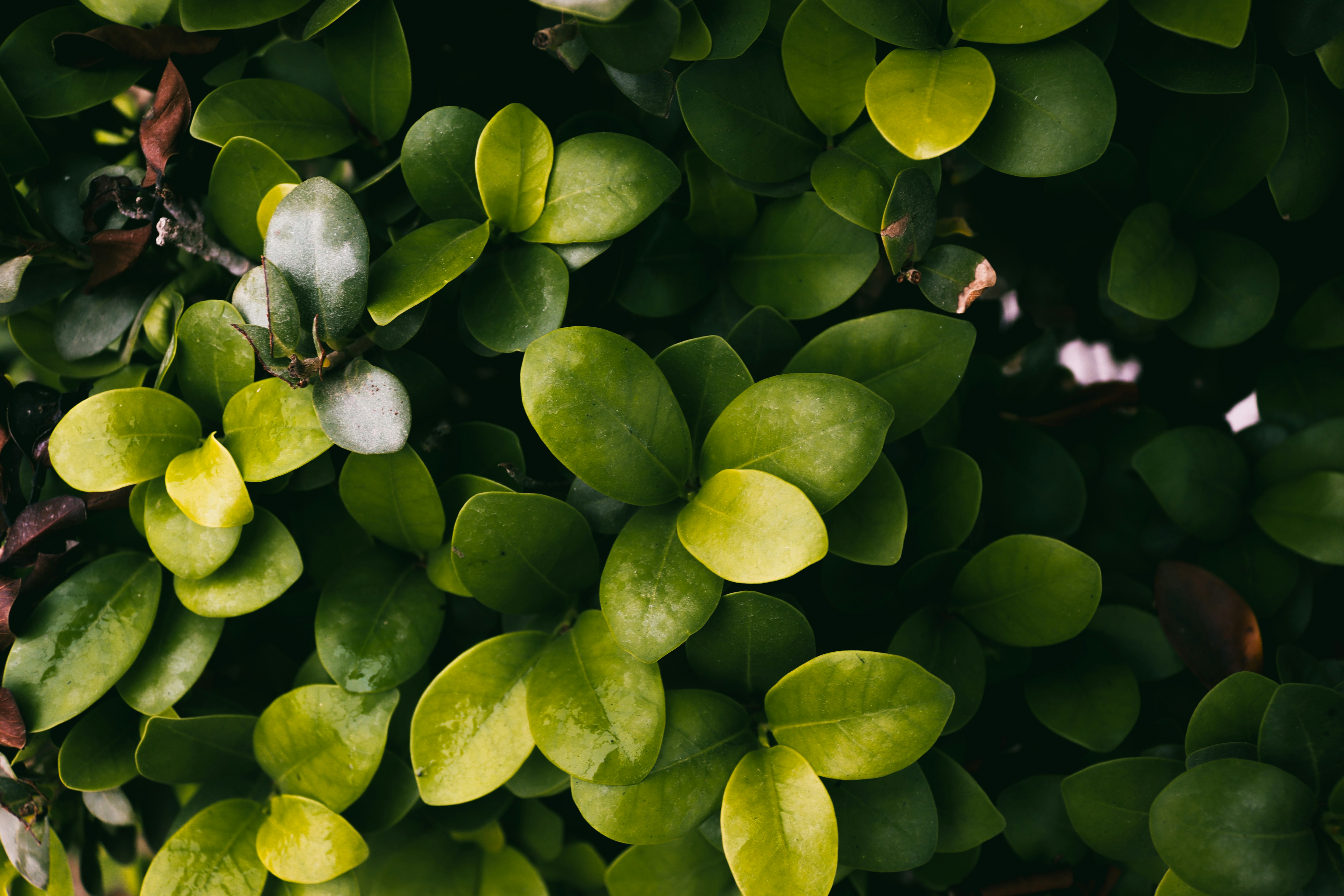 Photo by drphotographer152