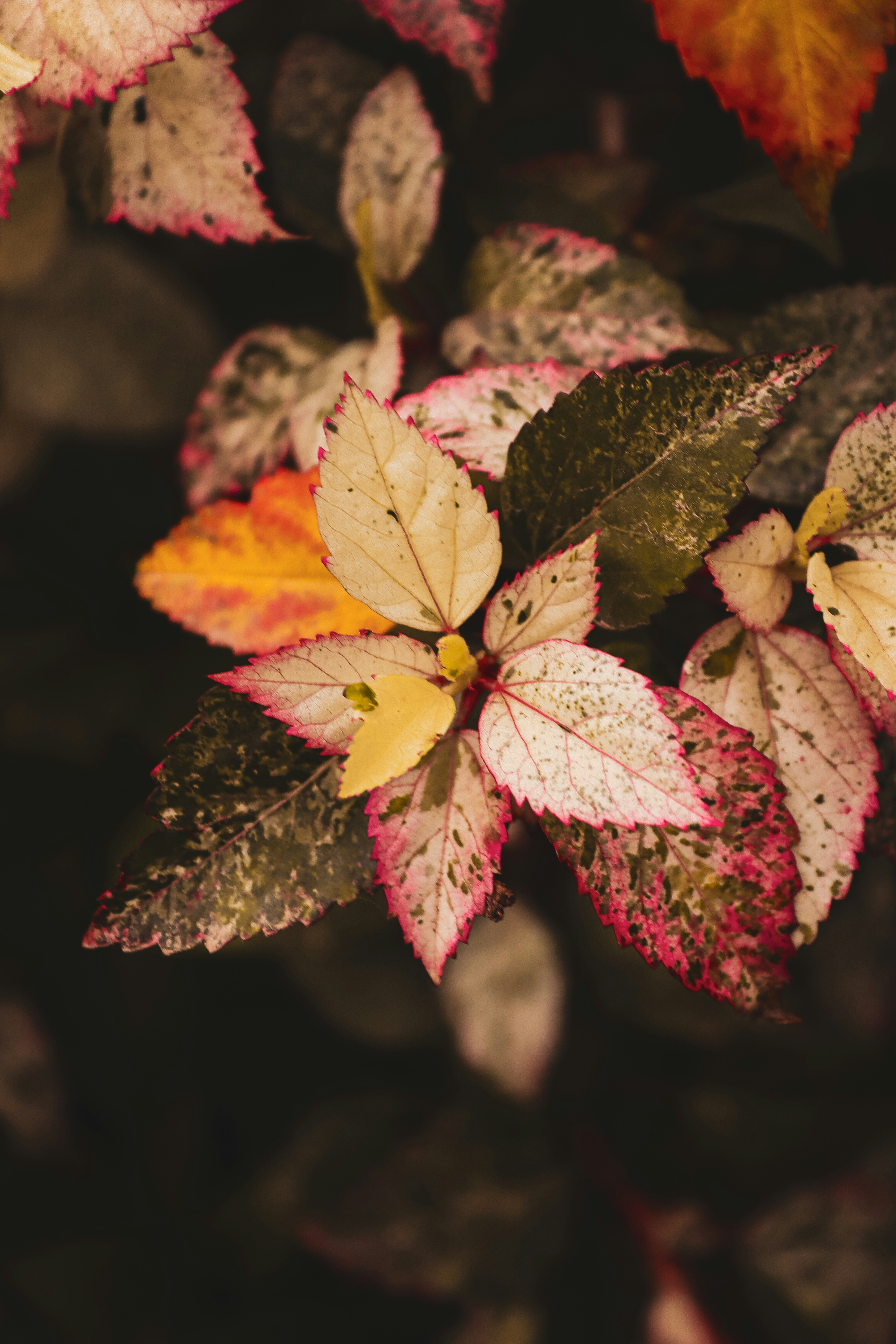 Photo by drphotographer152