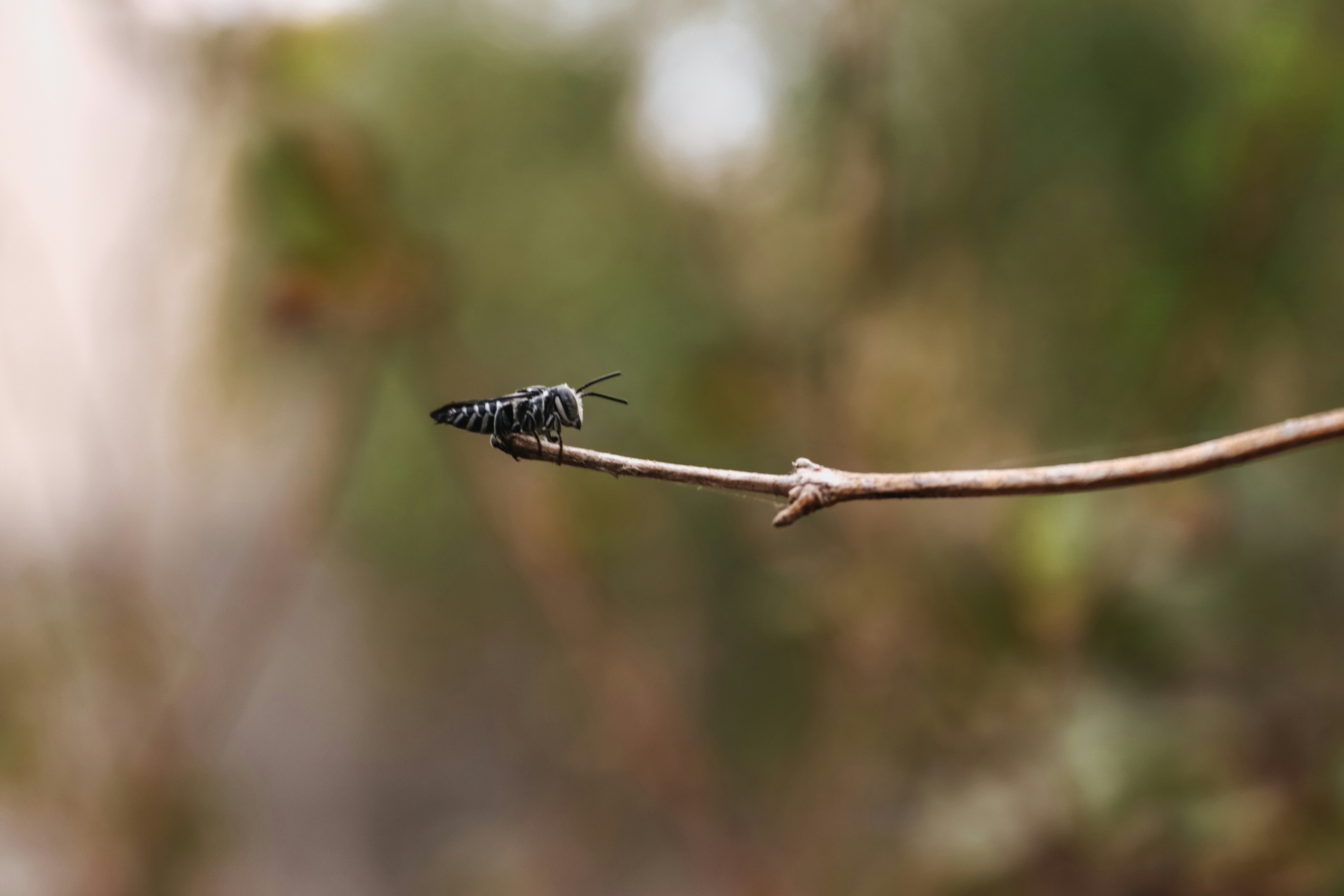 Photo by drphotographer152