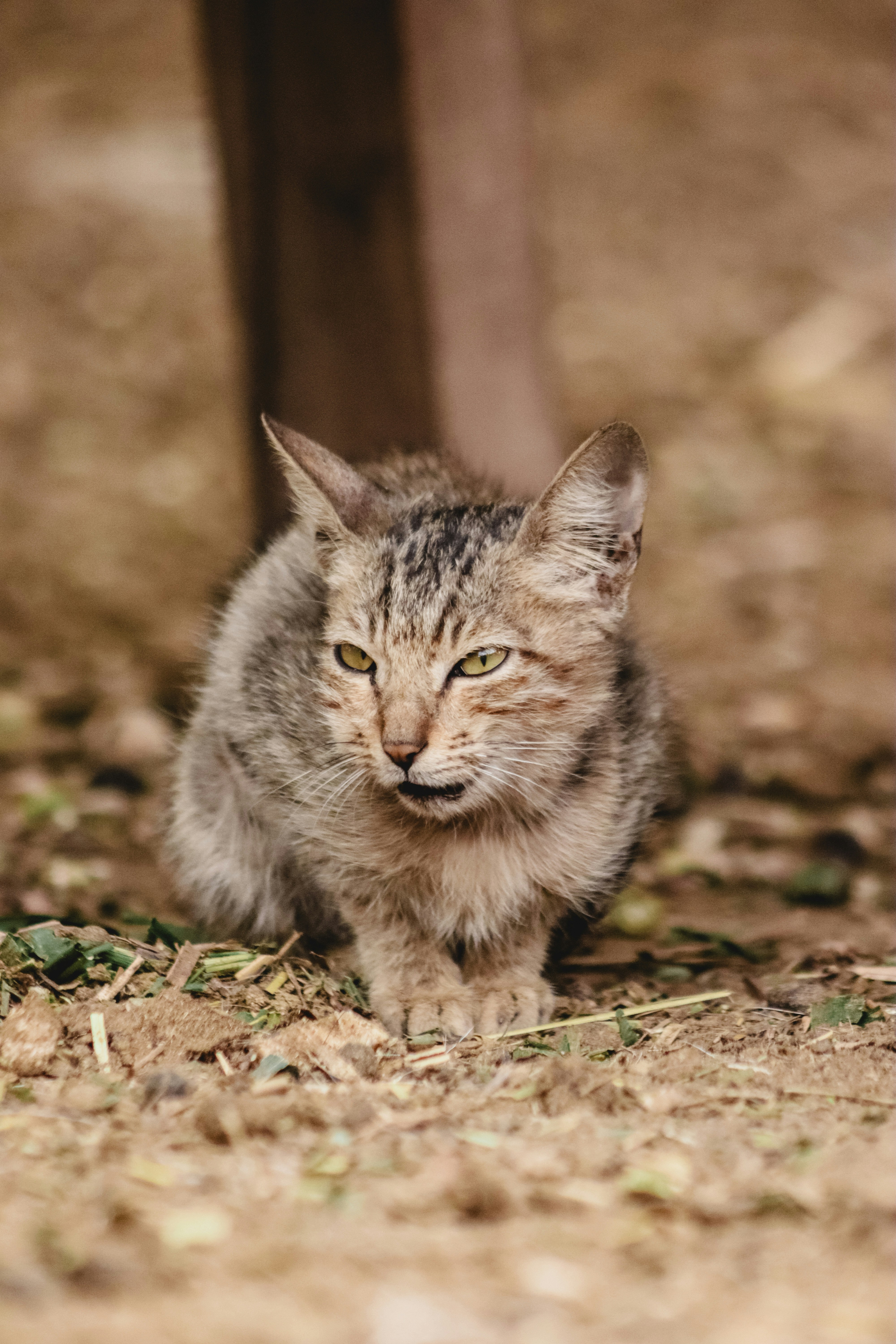 Photo by drphotographer152