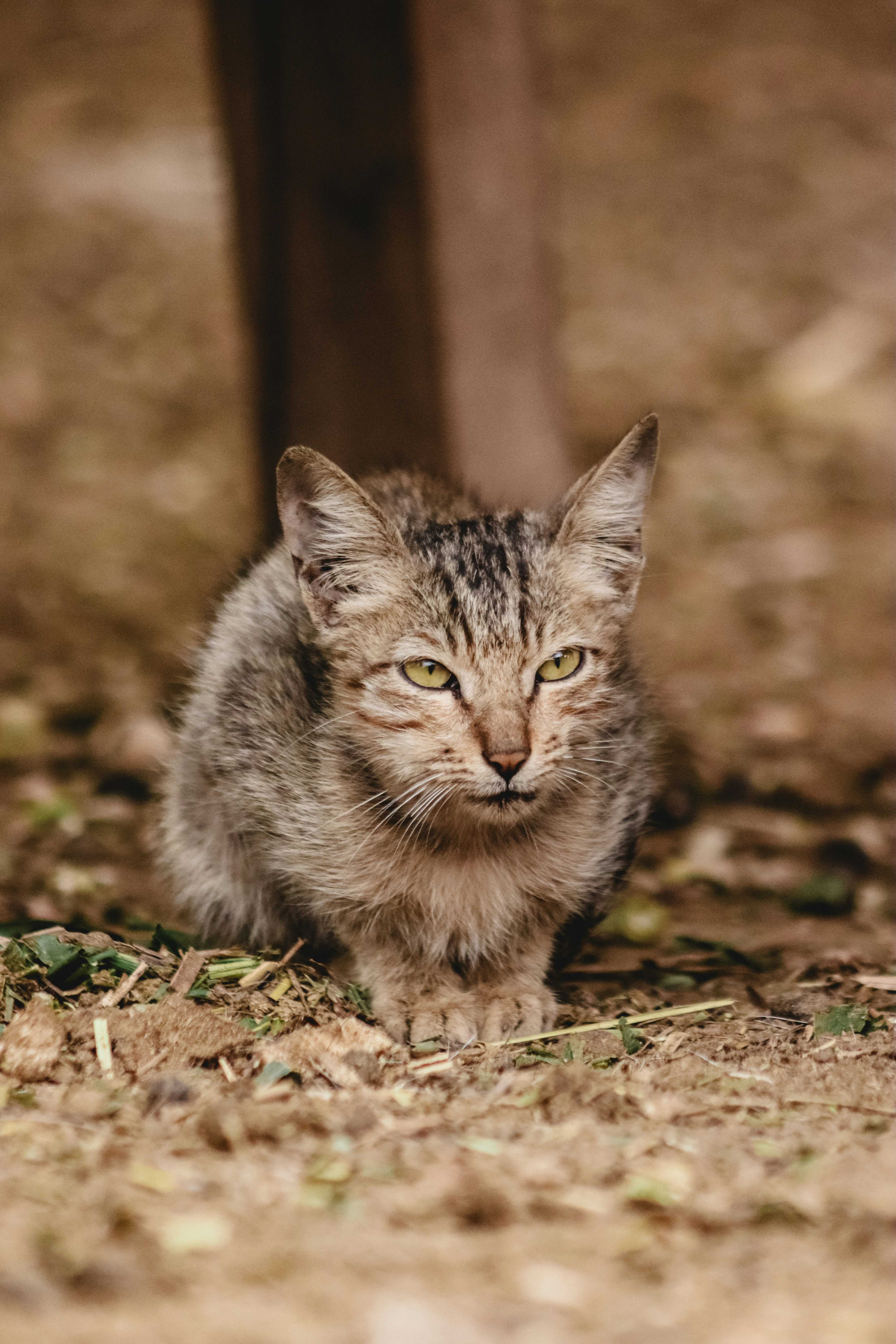 Photo by drphotographer152