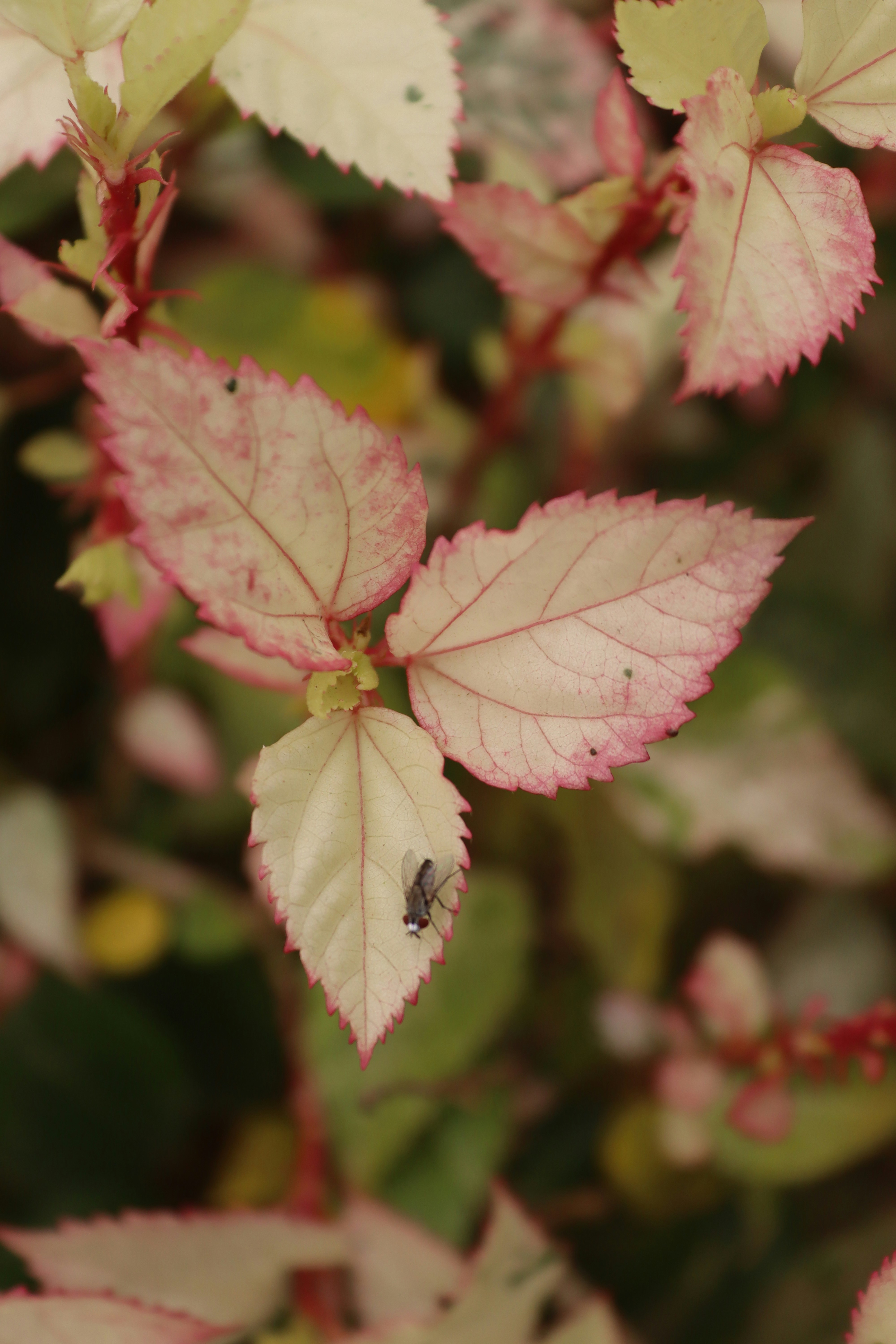 Photo by drphotographer152