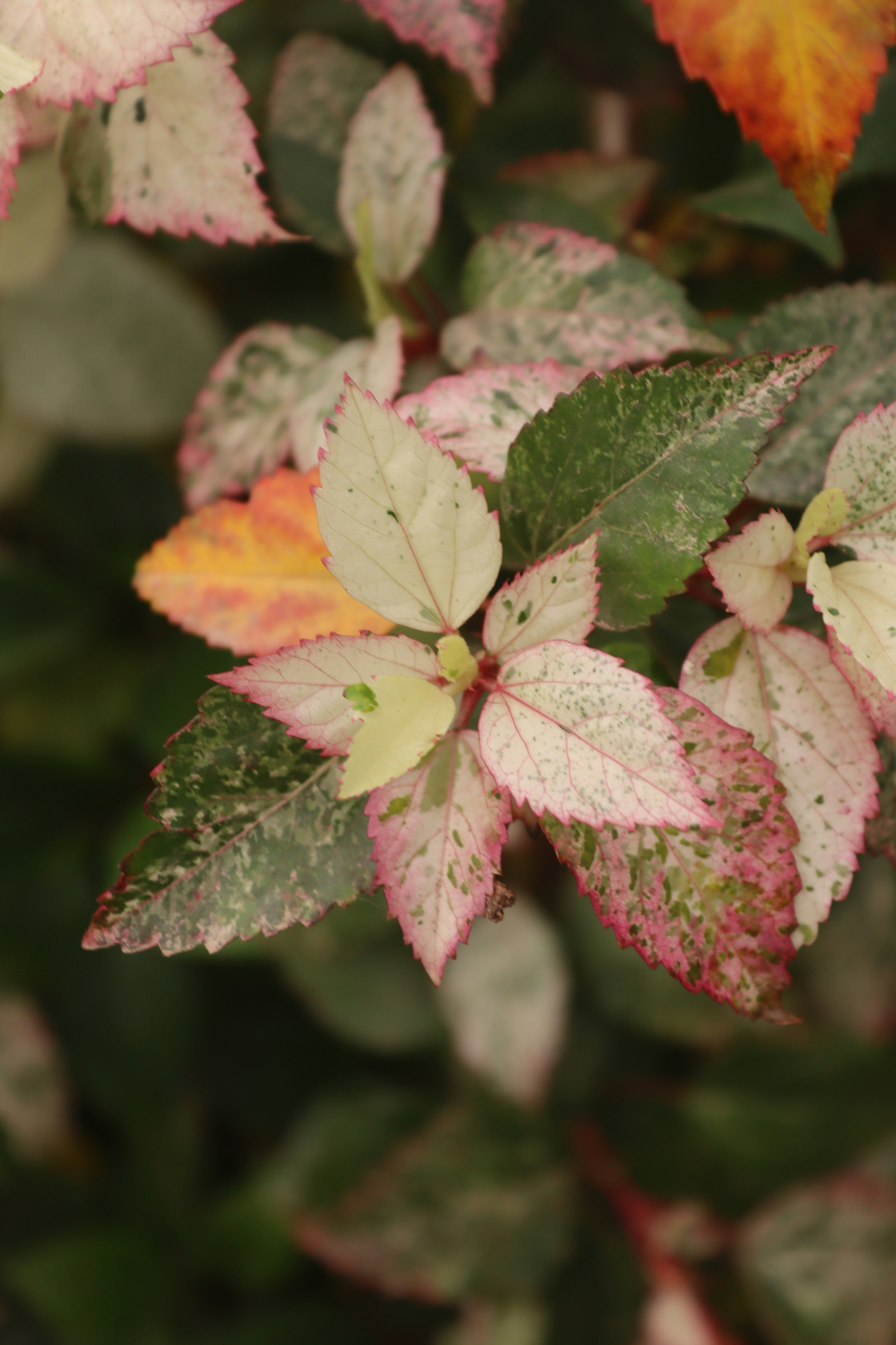 Photo by drphotographer152