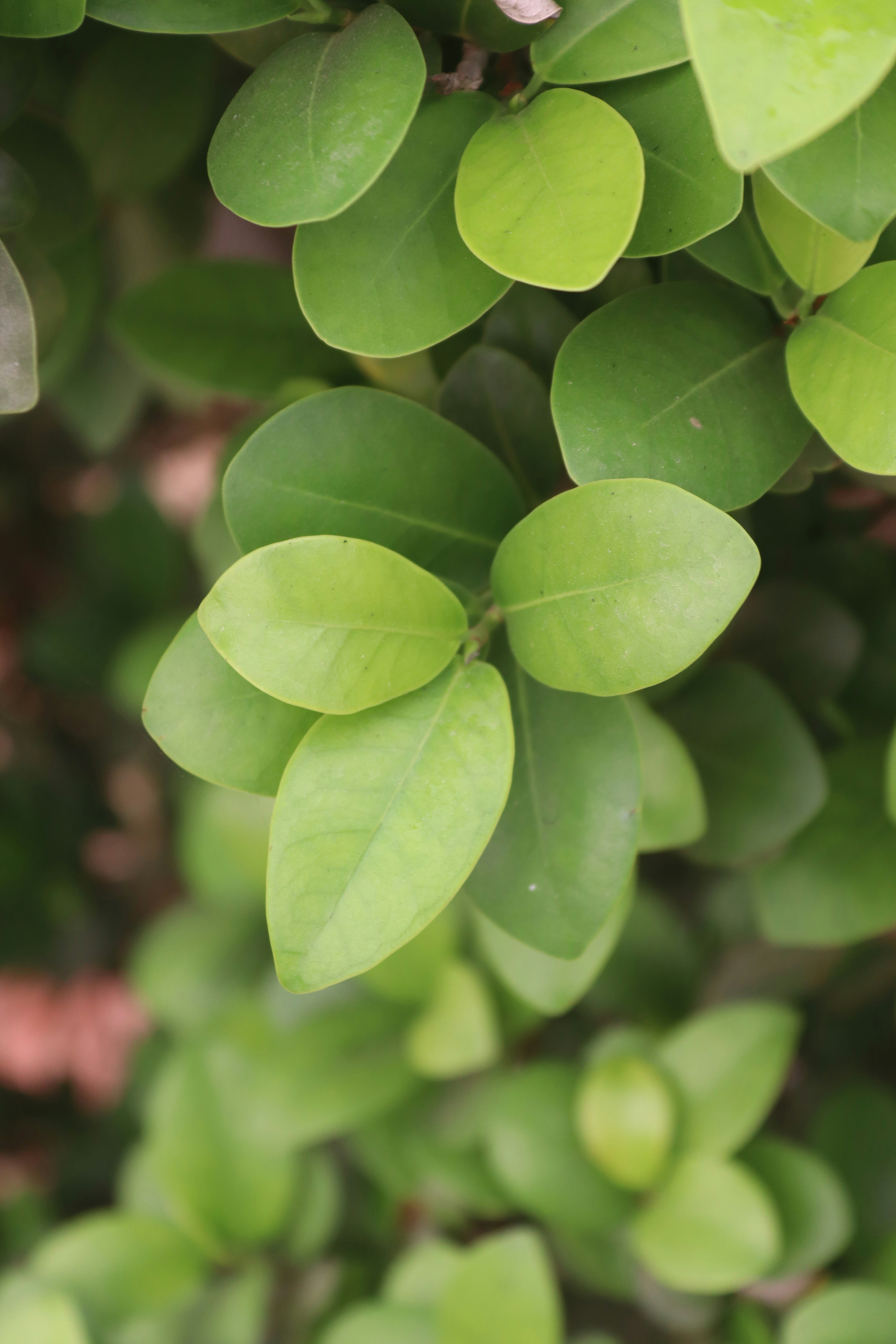 Photo by drphotographer152