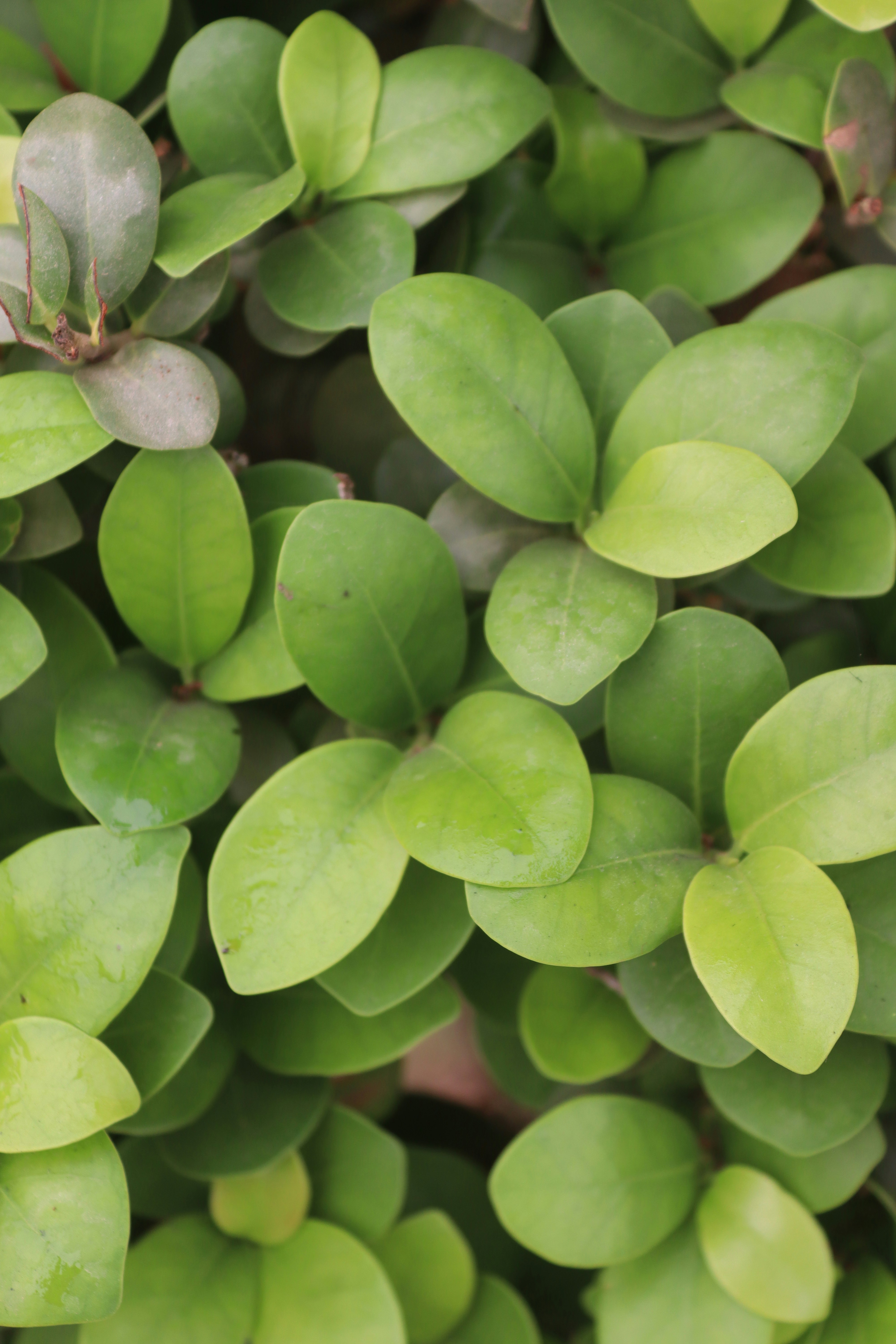 Photo by drphotographer152