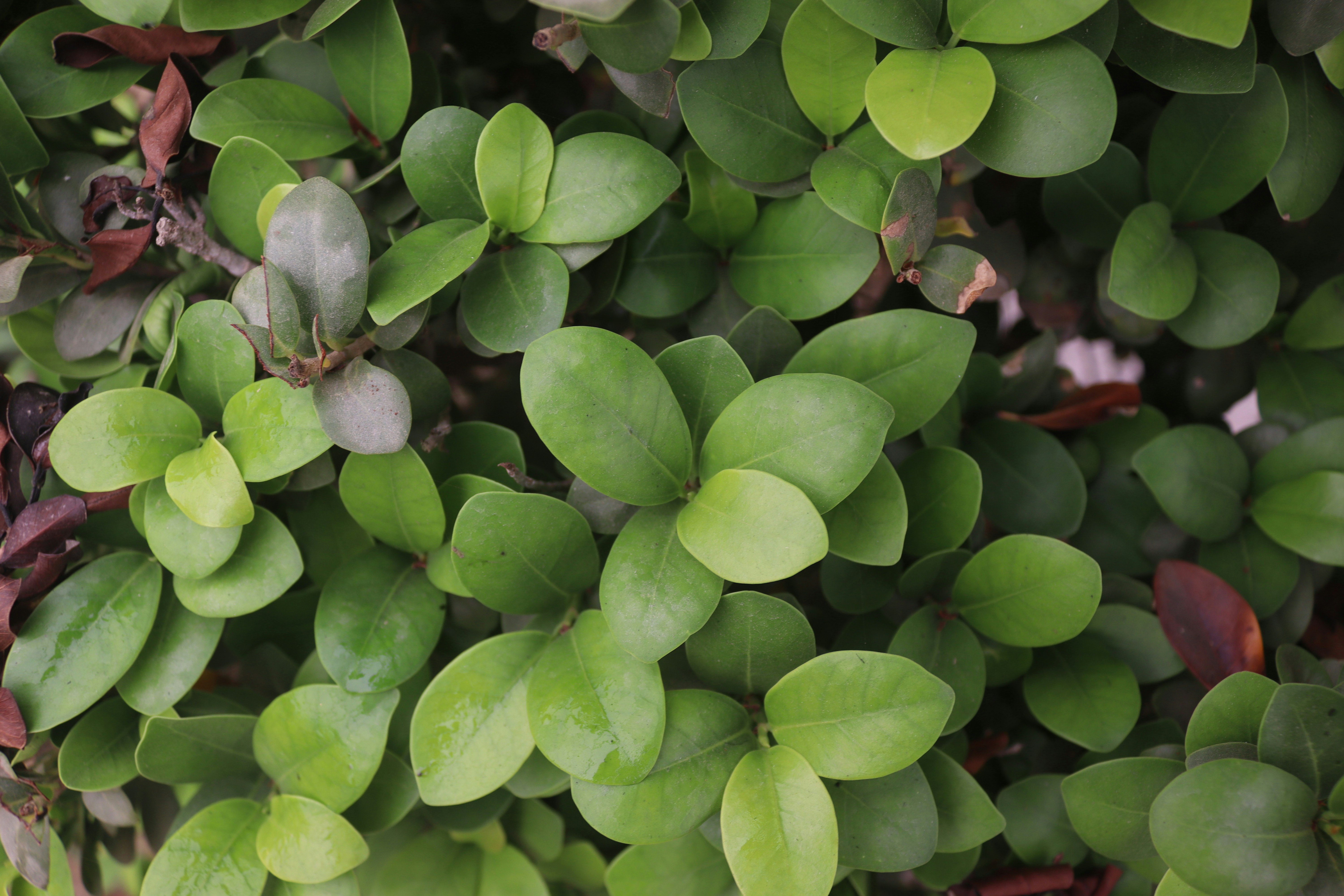 Photo by drphotographer152