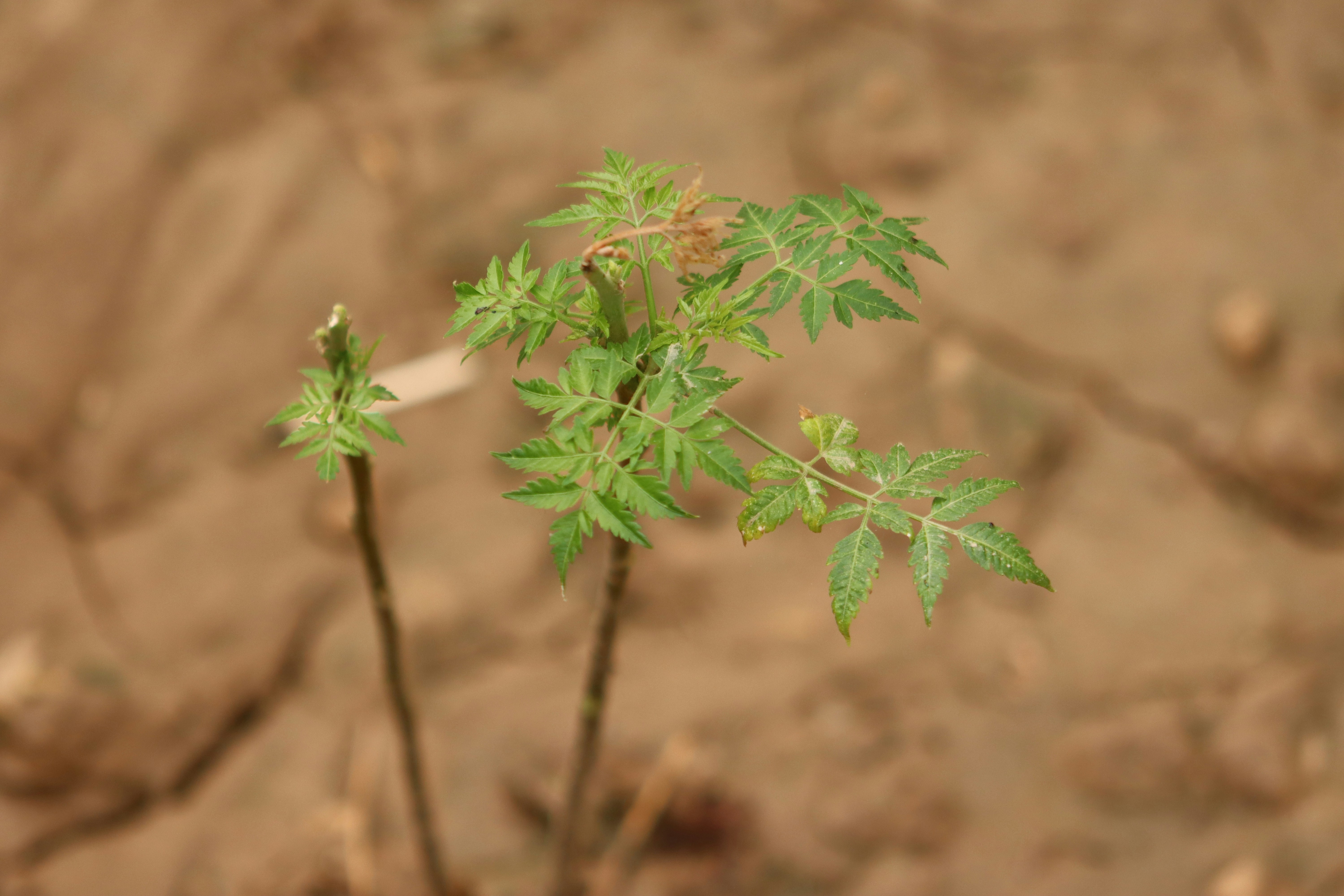 Photo by drphotographer152