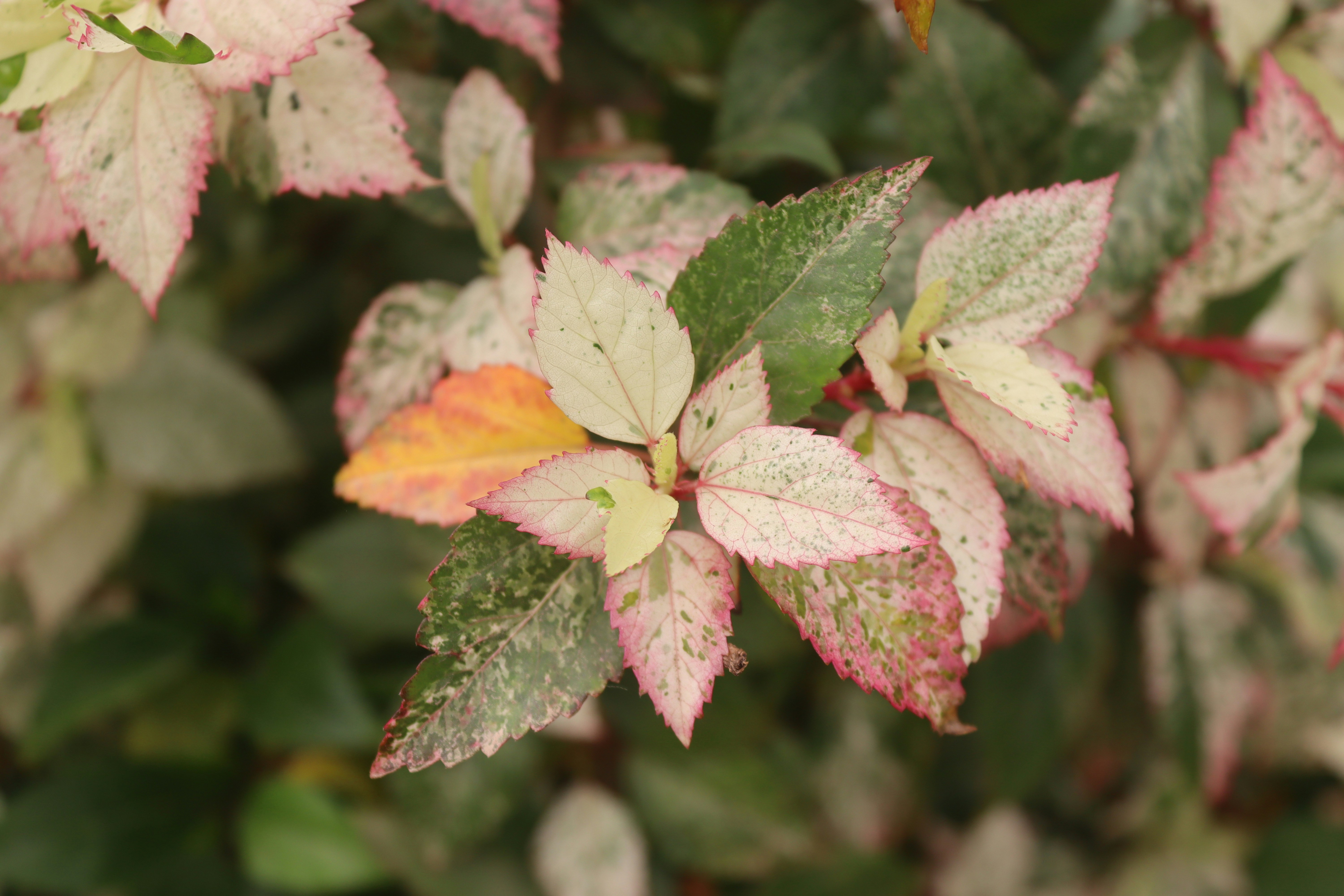 Photo by drphotographer152