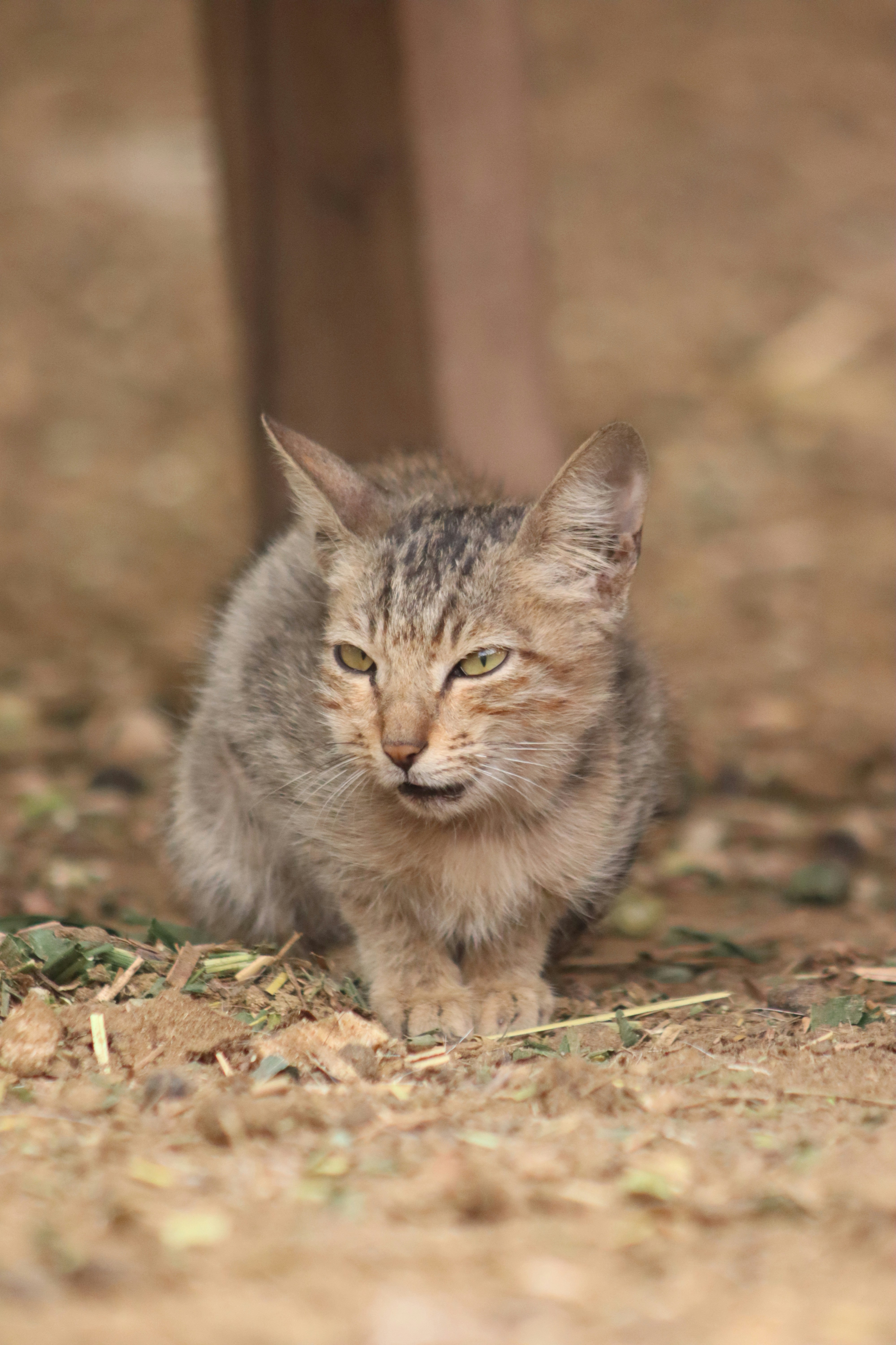 Photo by drphotographer152