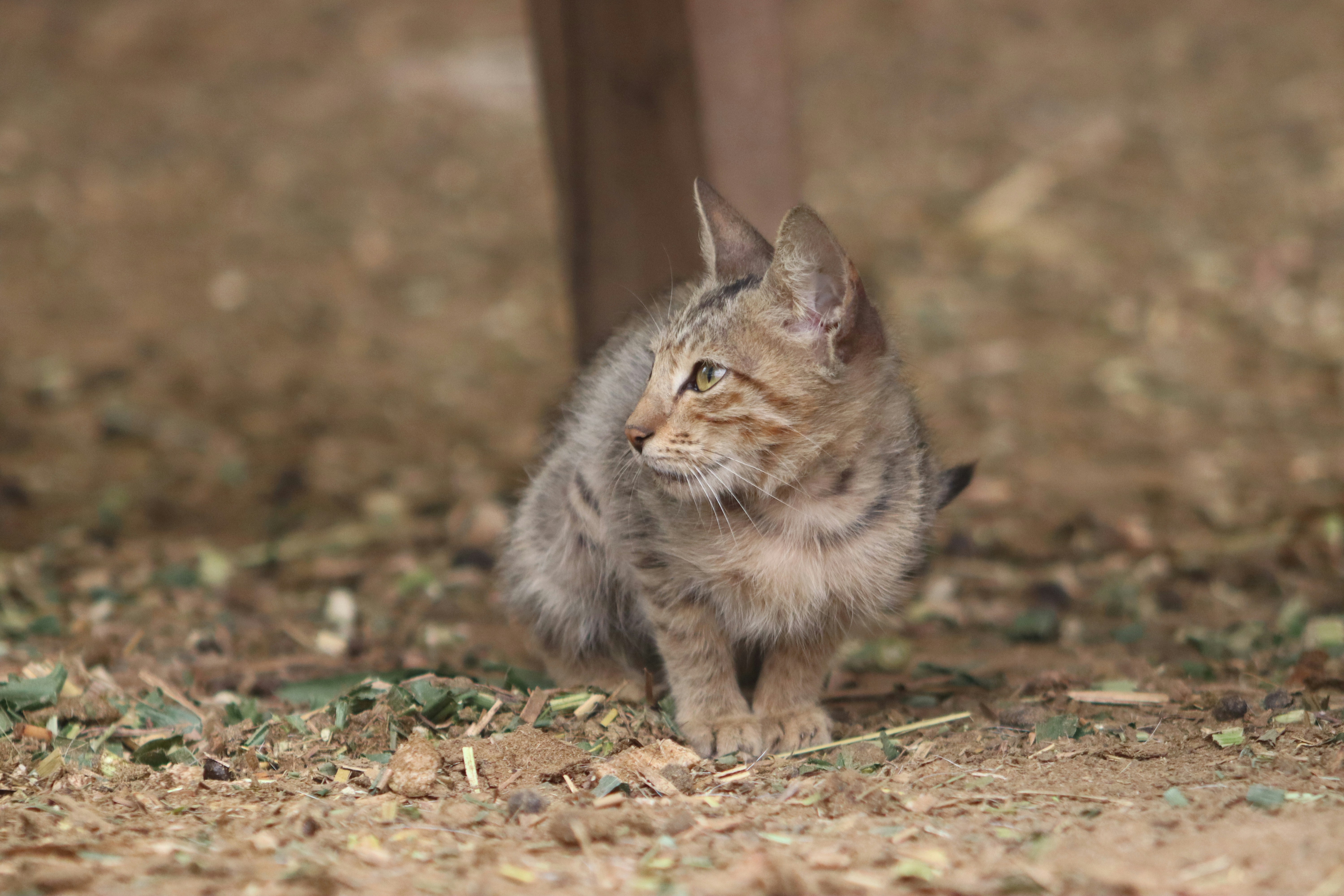 Photo by drphotographer152