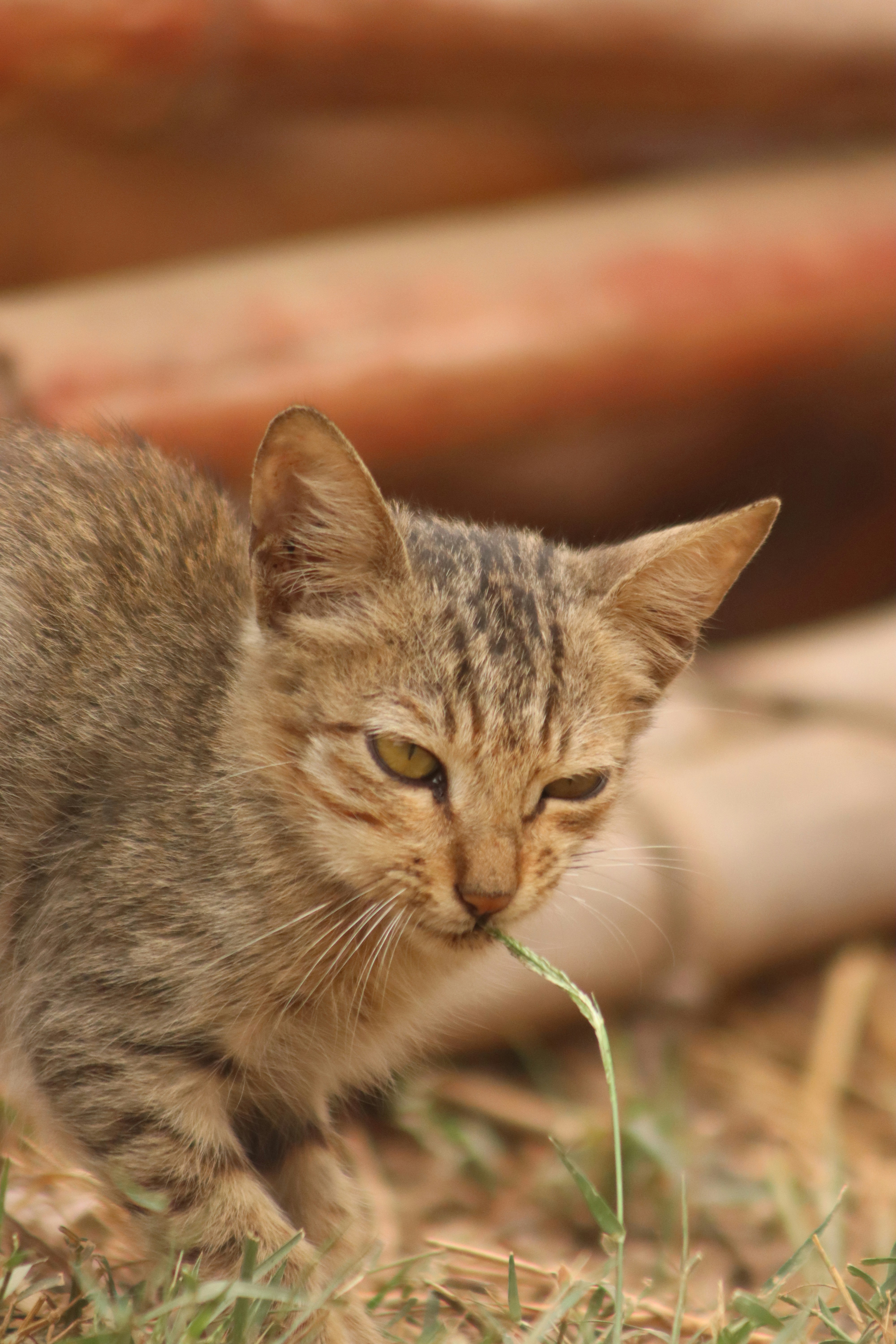 Photo by drphotographer152