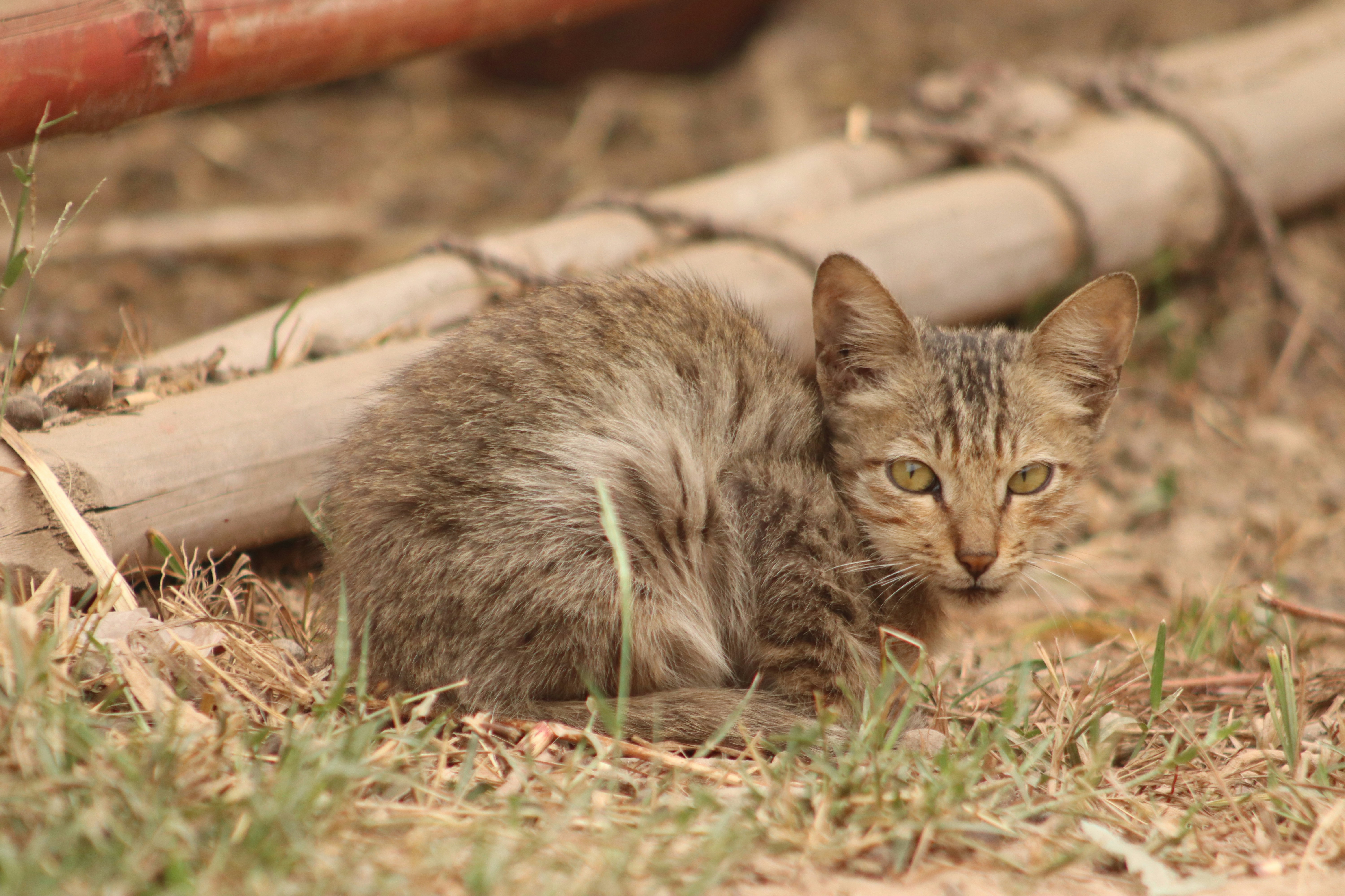 Photo by drphotographer152