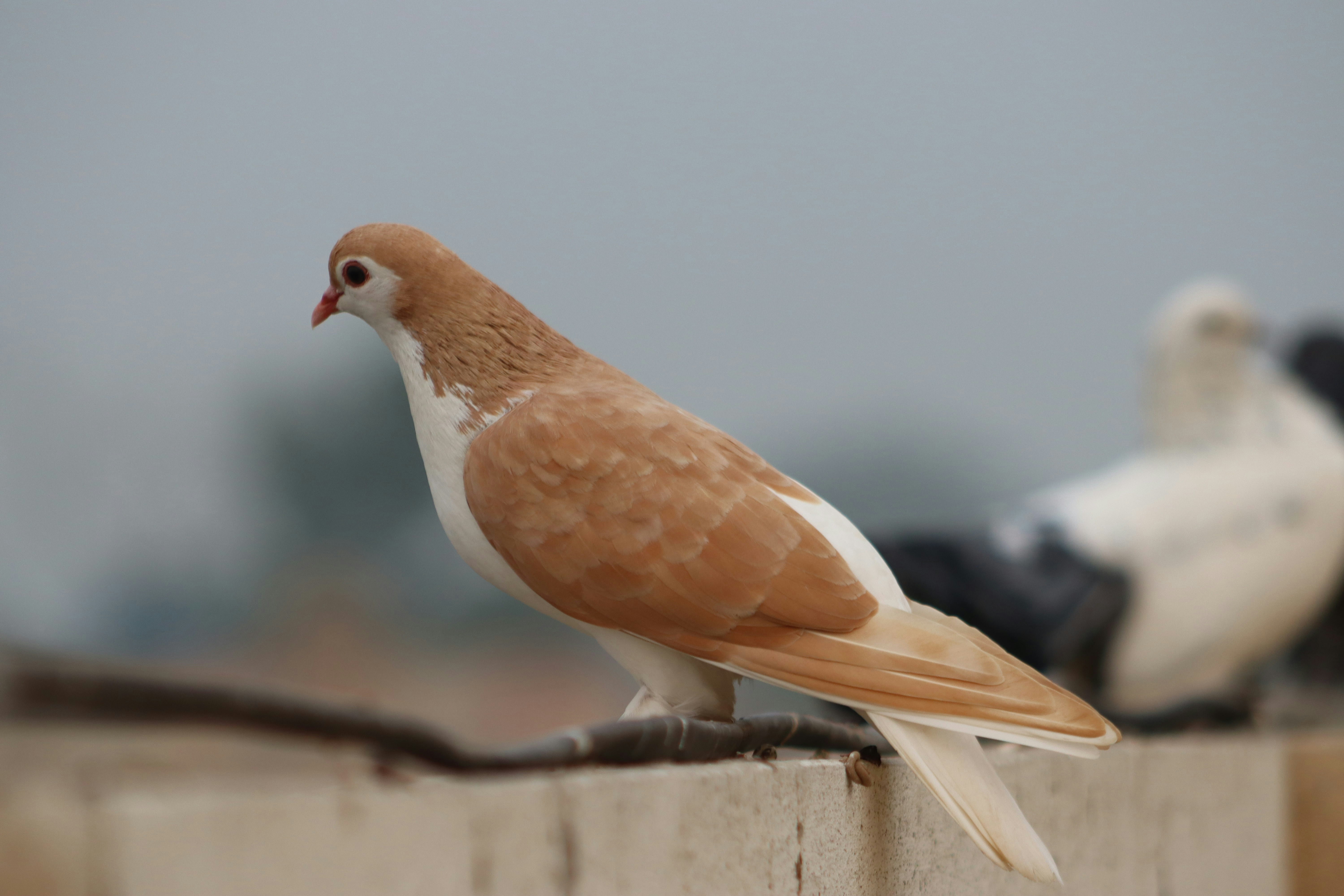 Photo by drphotographer152