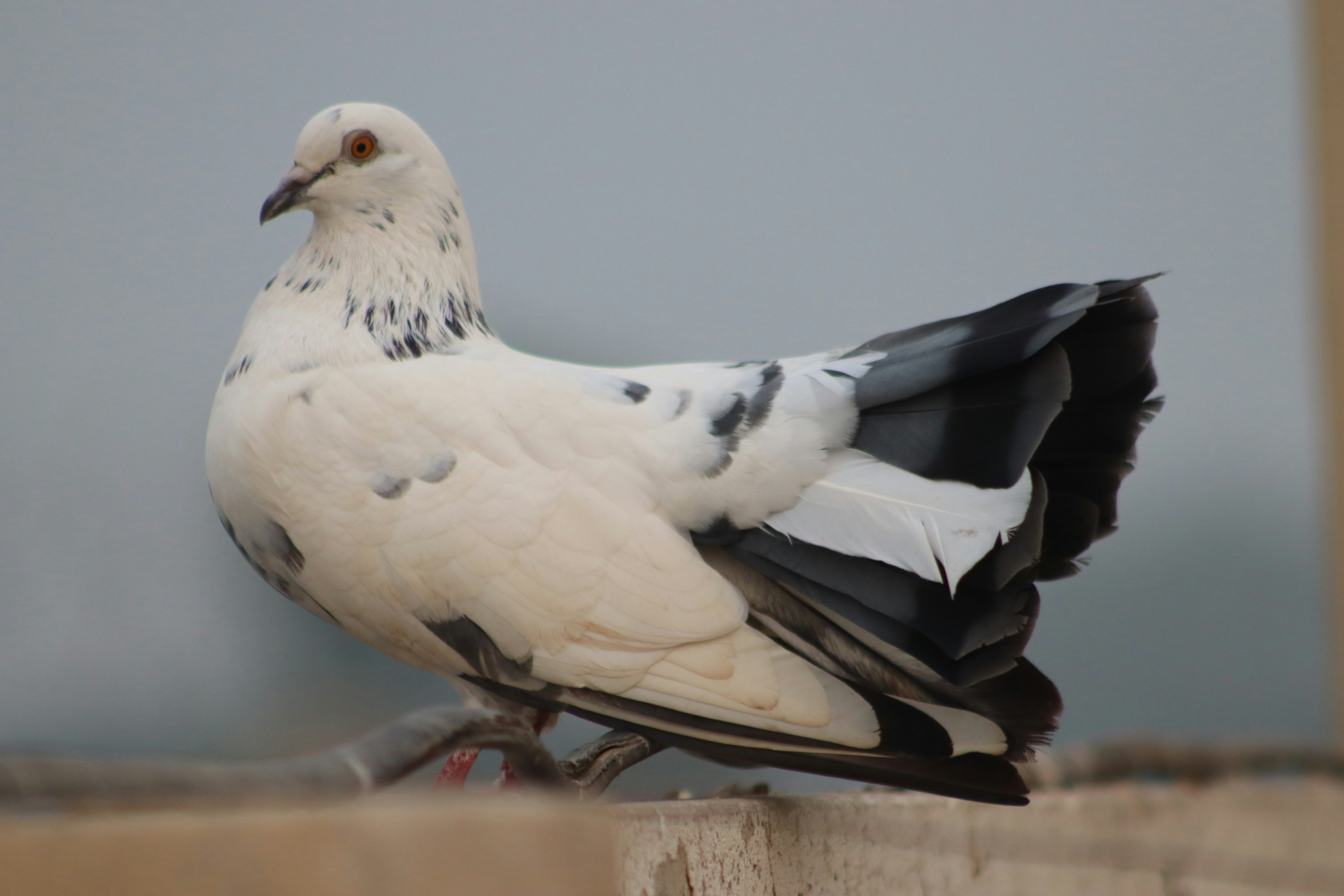 Photo by drphotographer152