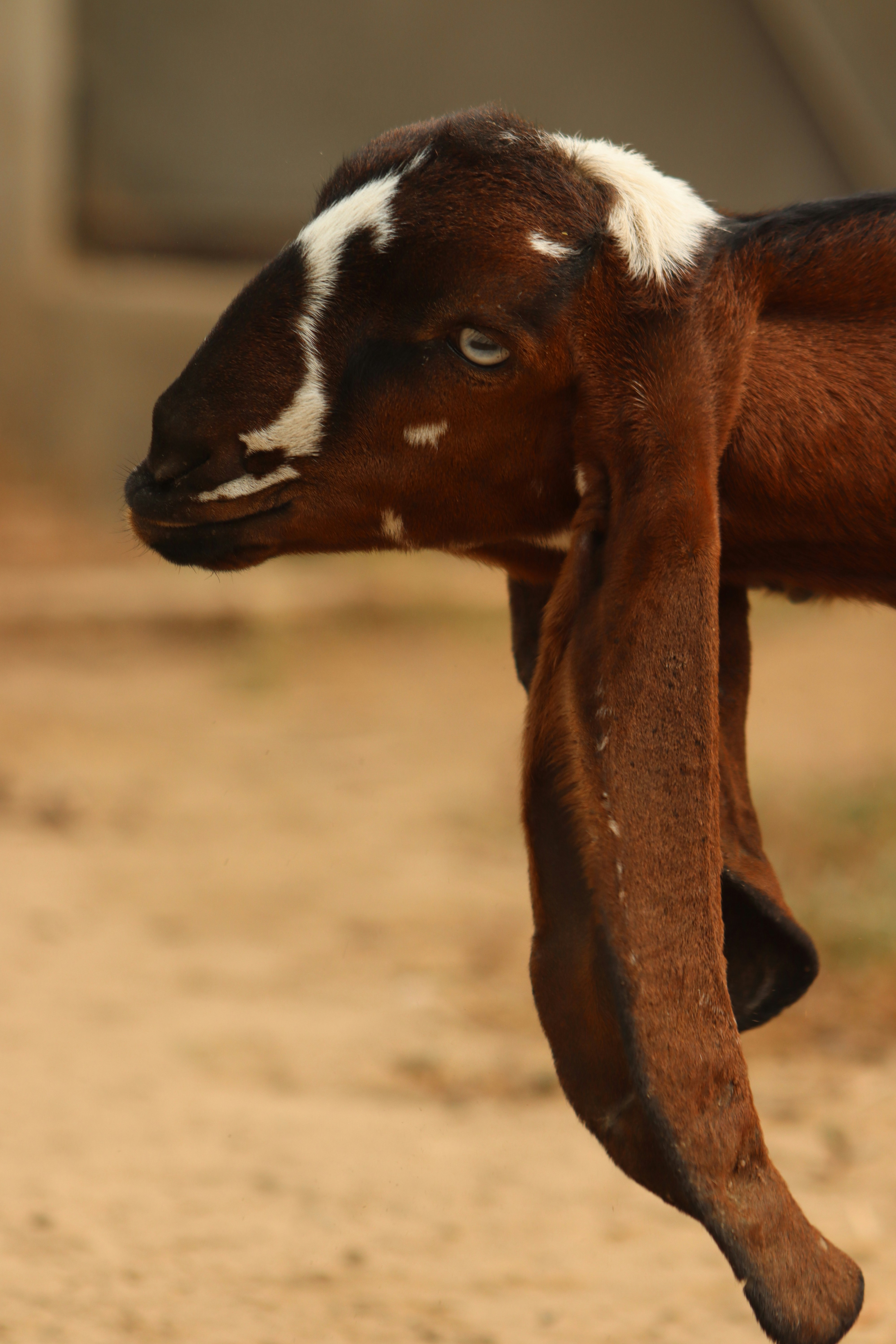 Photo by drphotographer152