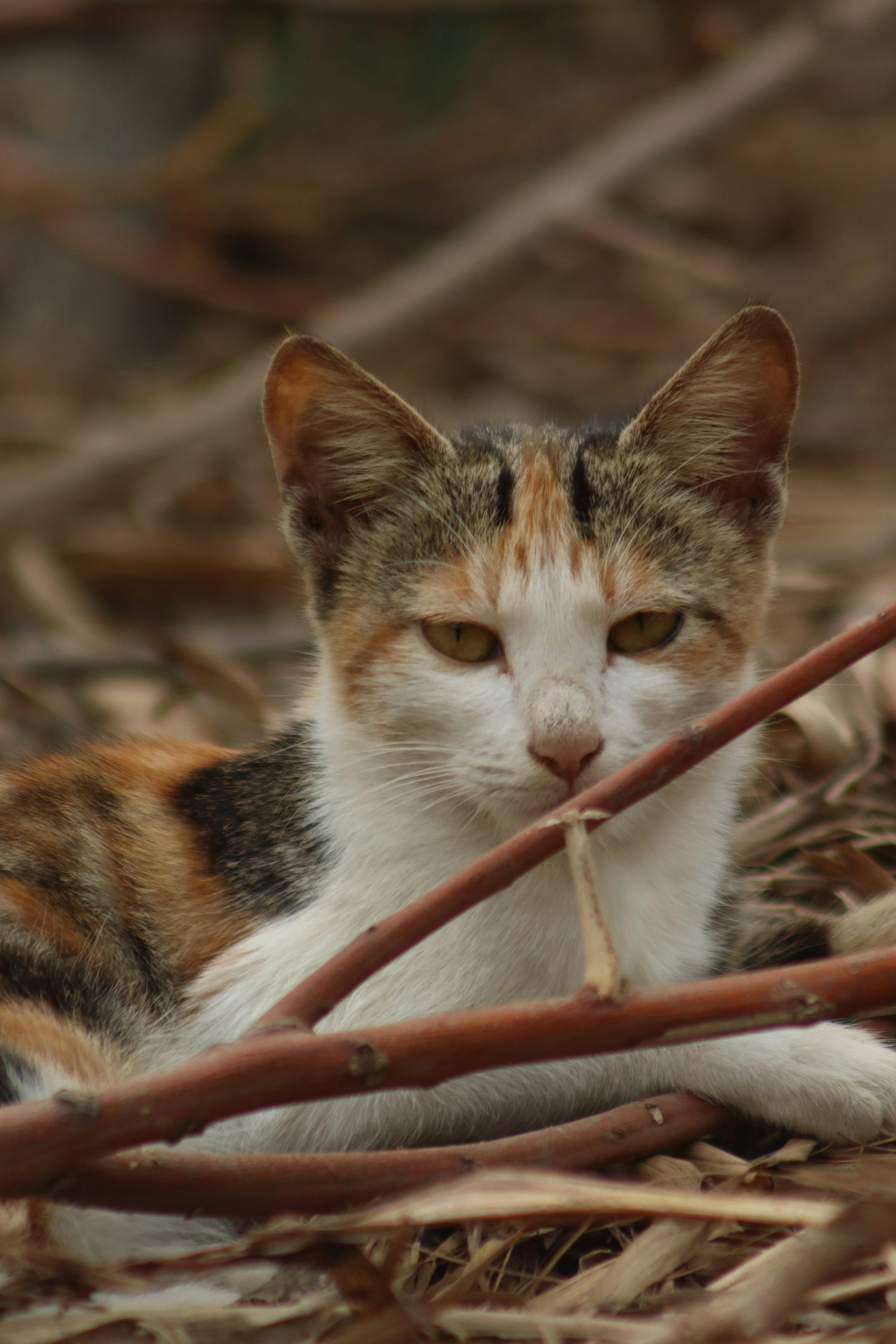 Photo by drphotographer152