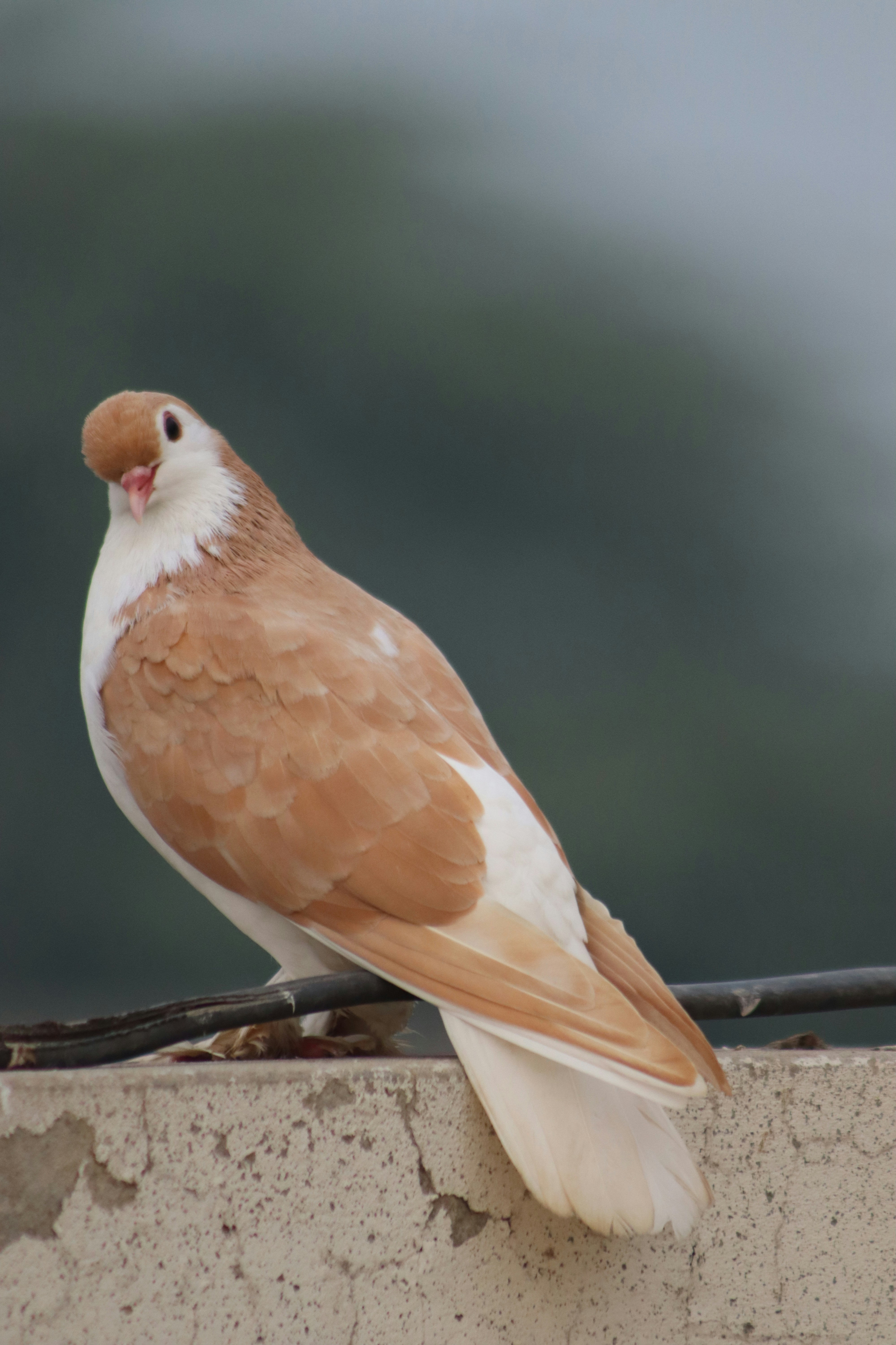 Photo by drphotographer152