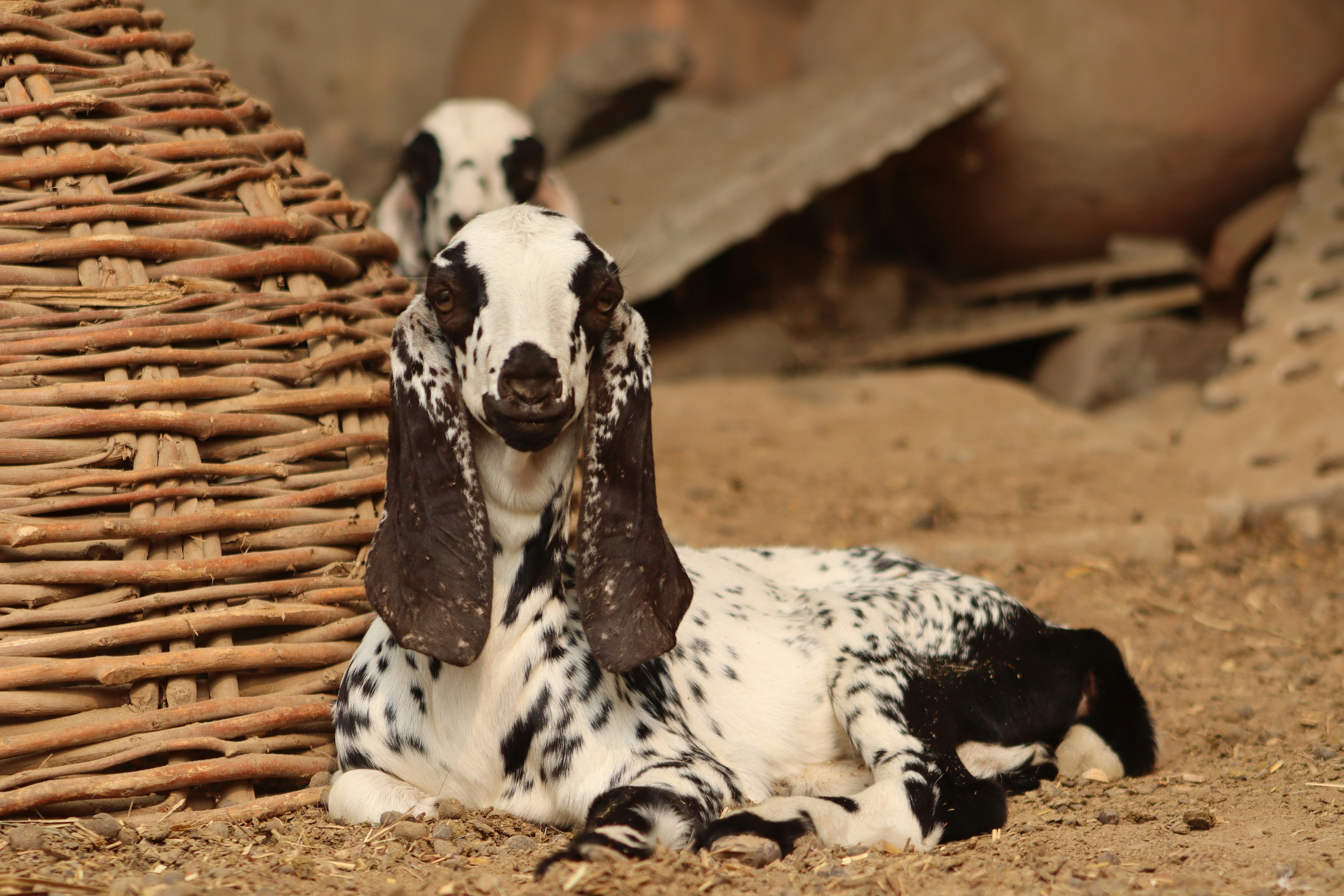 Photo by drphotographer152