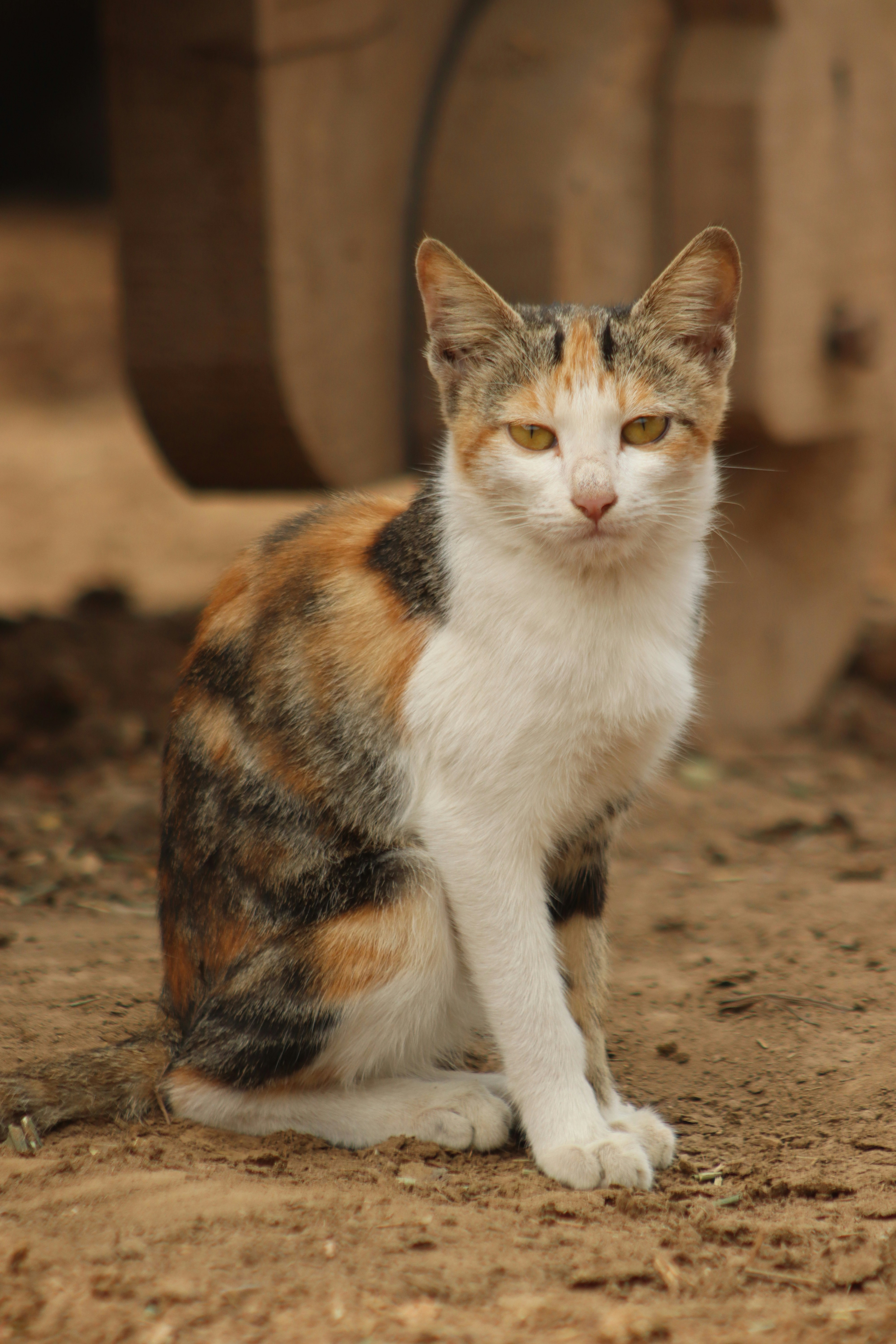 Photo by drphotographer152