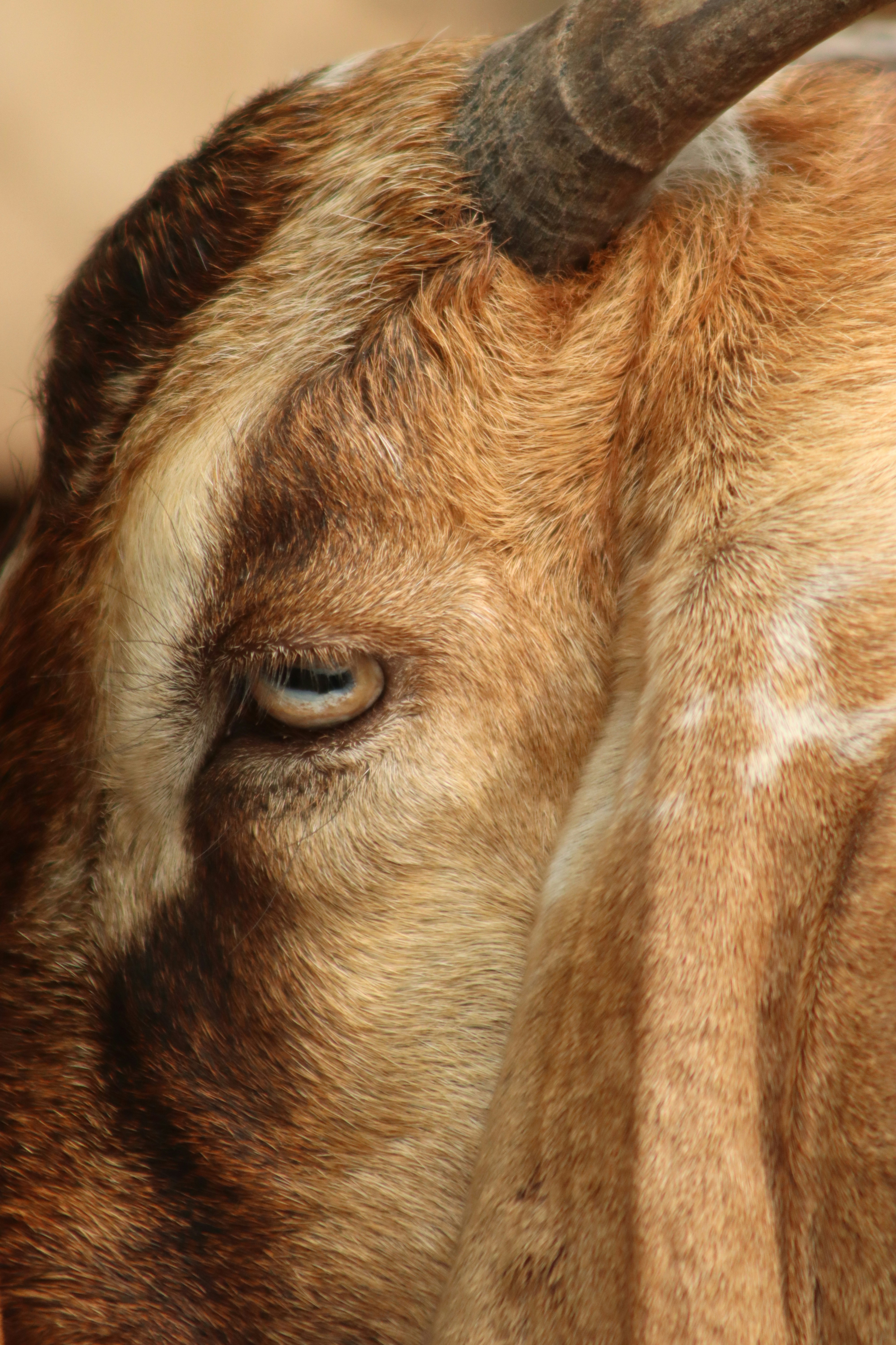 Photo by drphotographer152