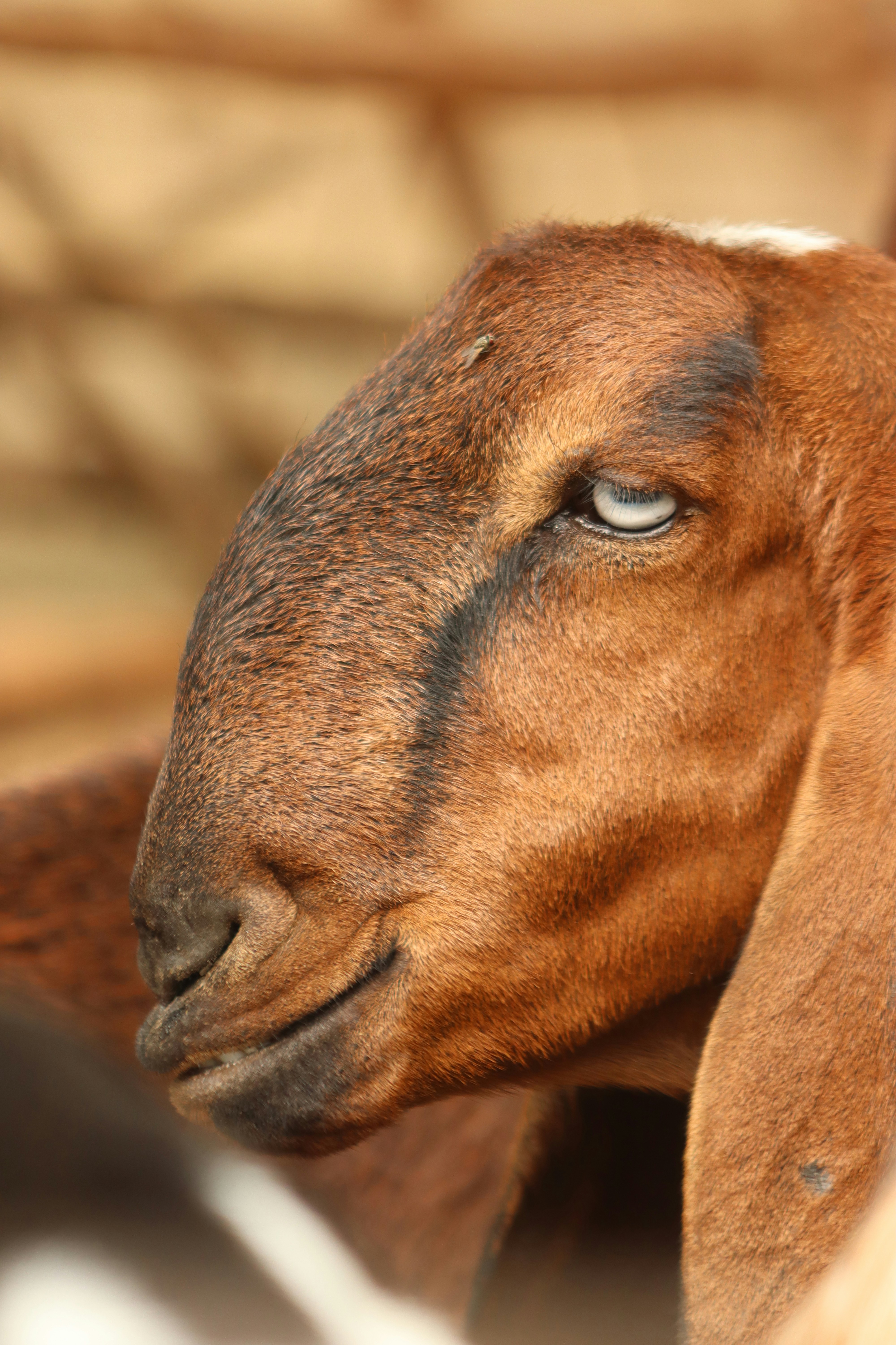 Photo by drphotographer152