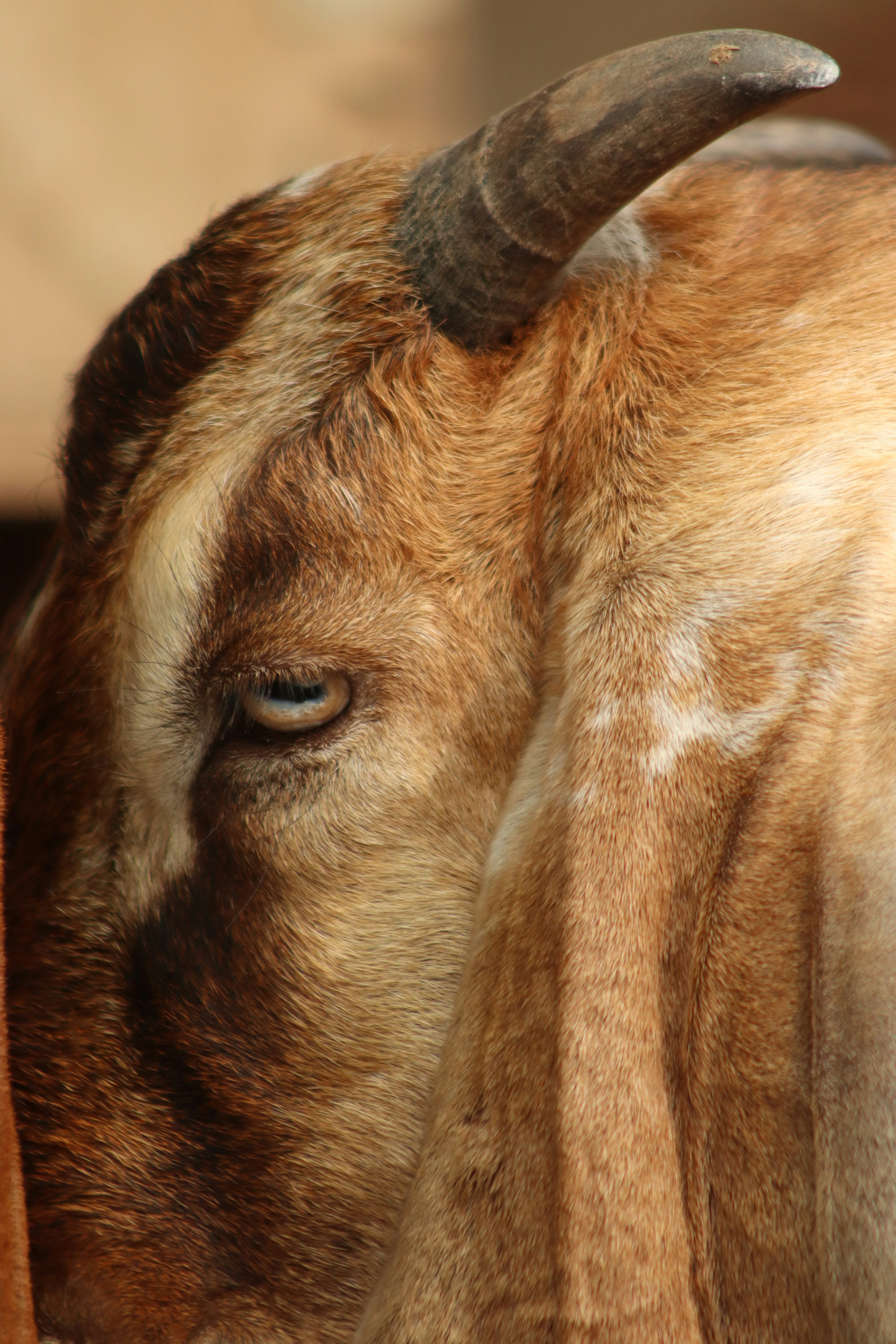 Photo by drphotographer152