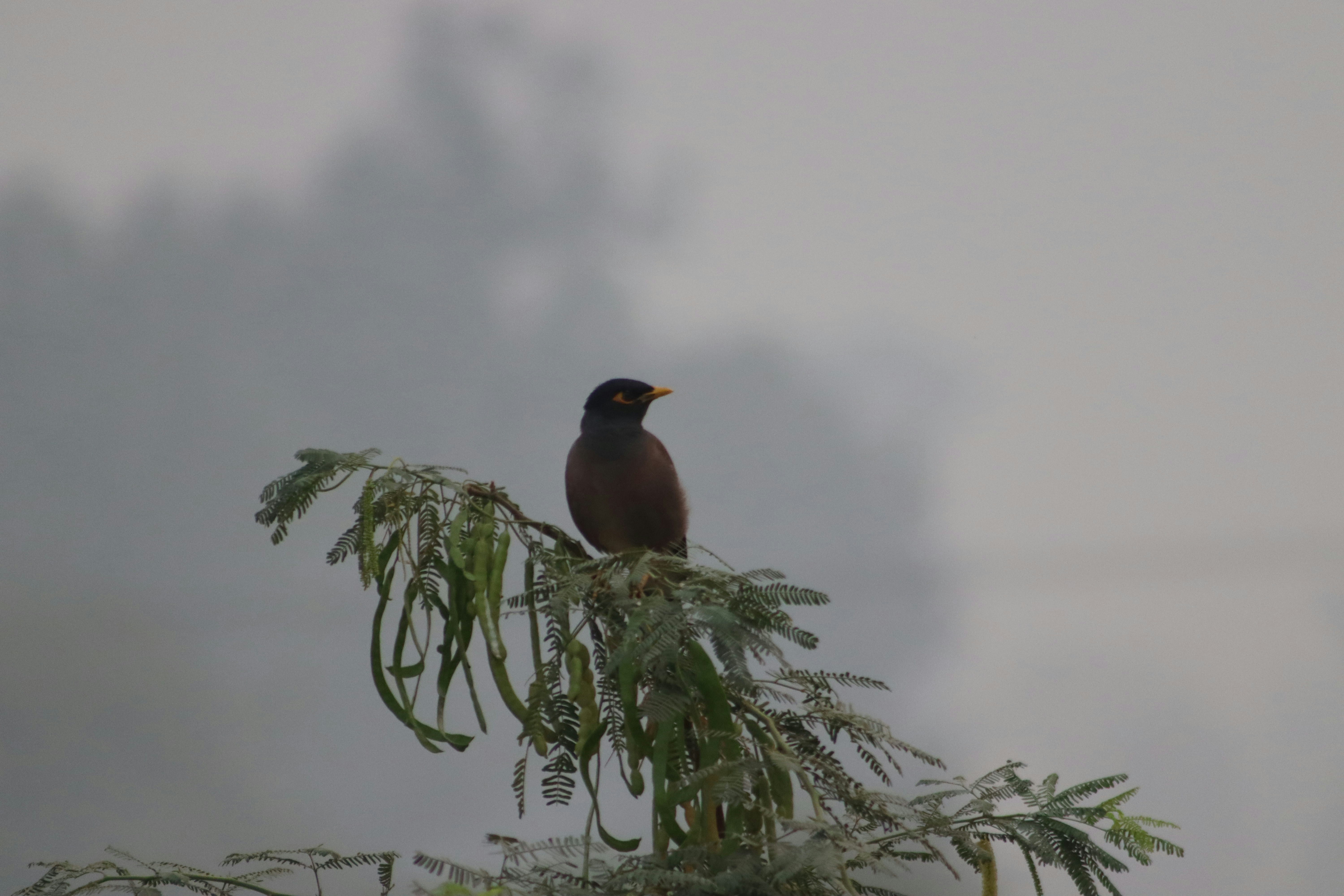 Photo by drphotographer152