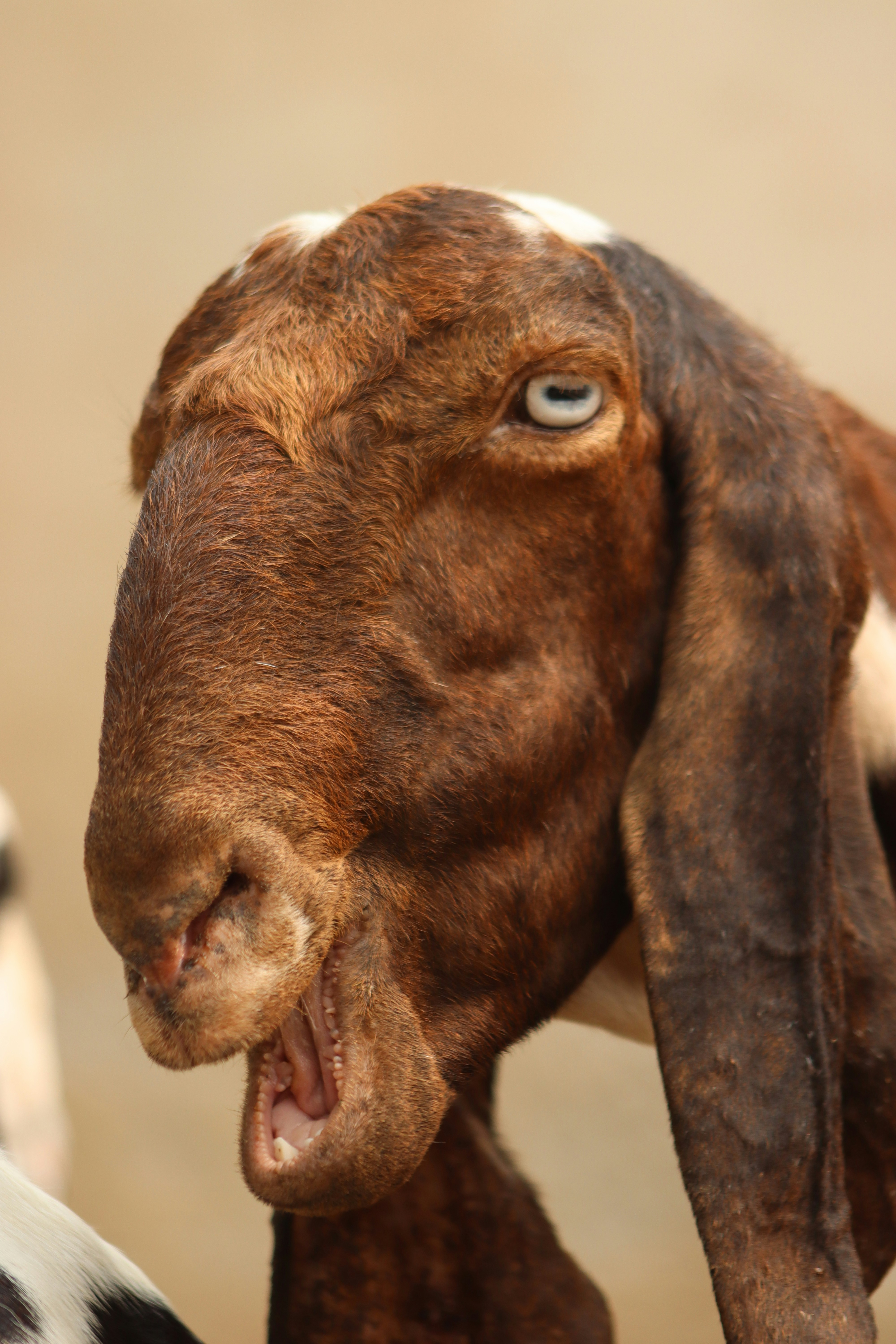 Photo by drphotographer152