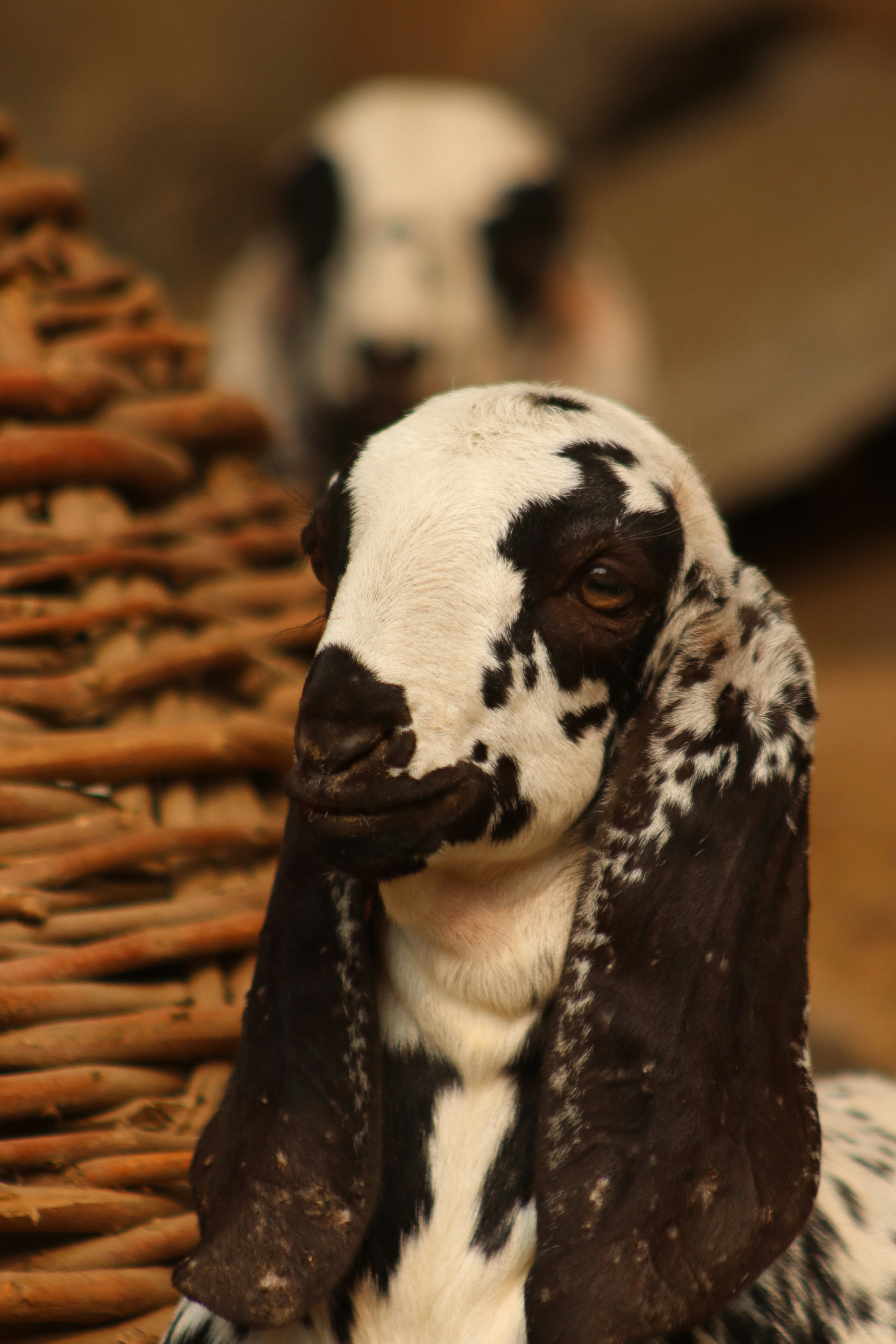 Photo by drphotographer152